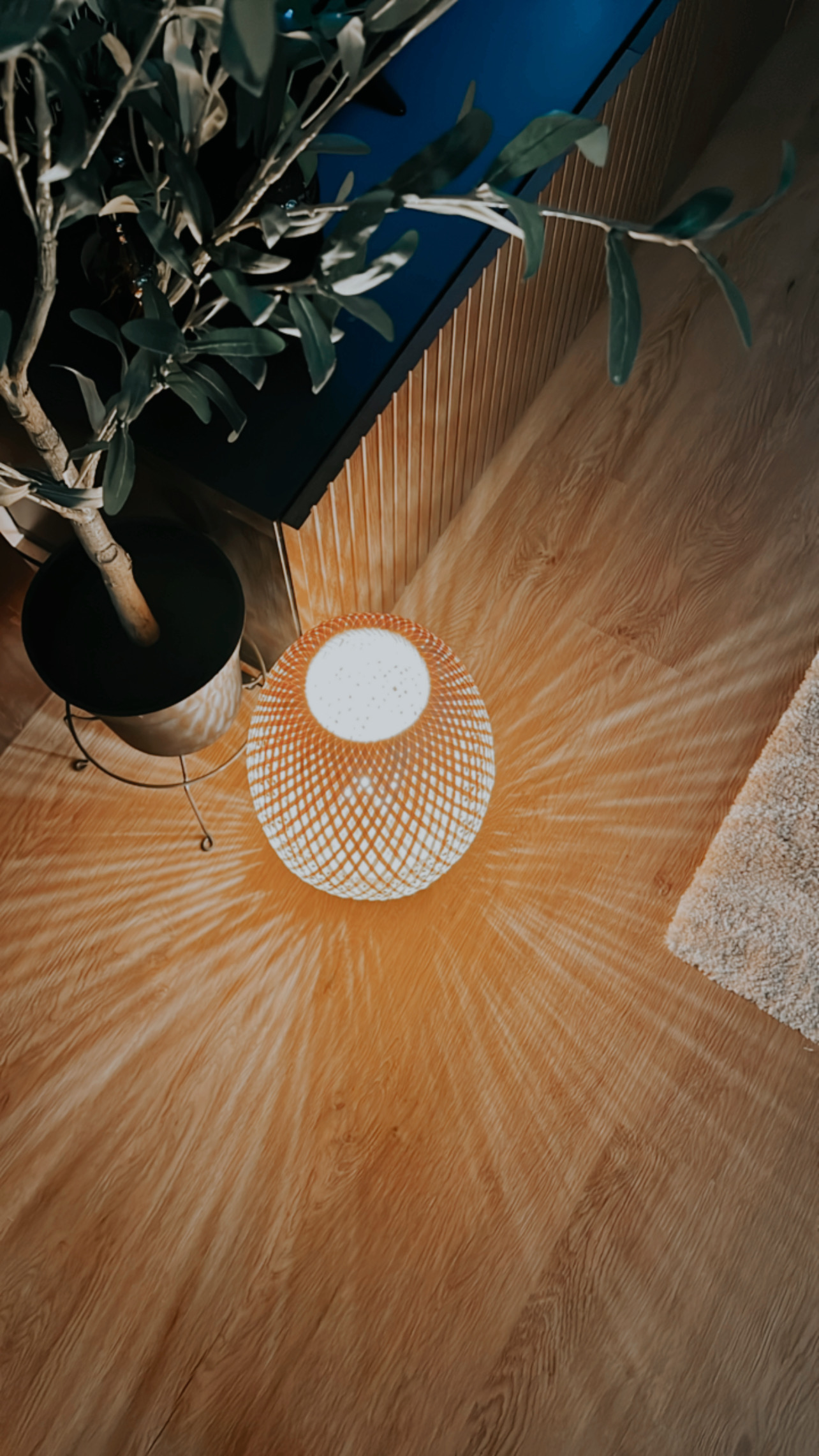 aesthetic must-haves for your japandi home 🍂 - Wooden floor, potted plant, modern decor, abstract design, warm lighting