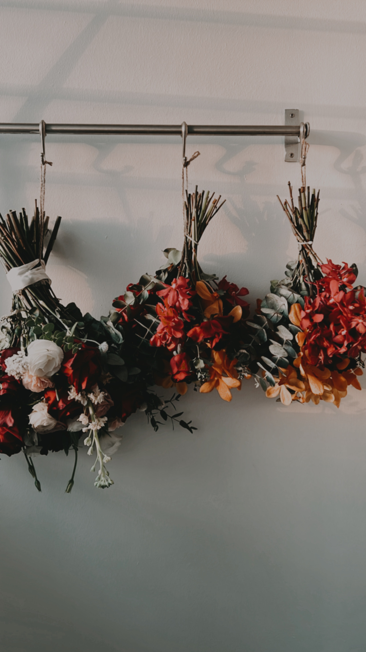 our urban oasis 🍂🍃