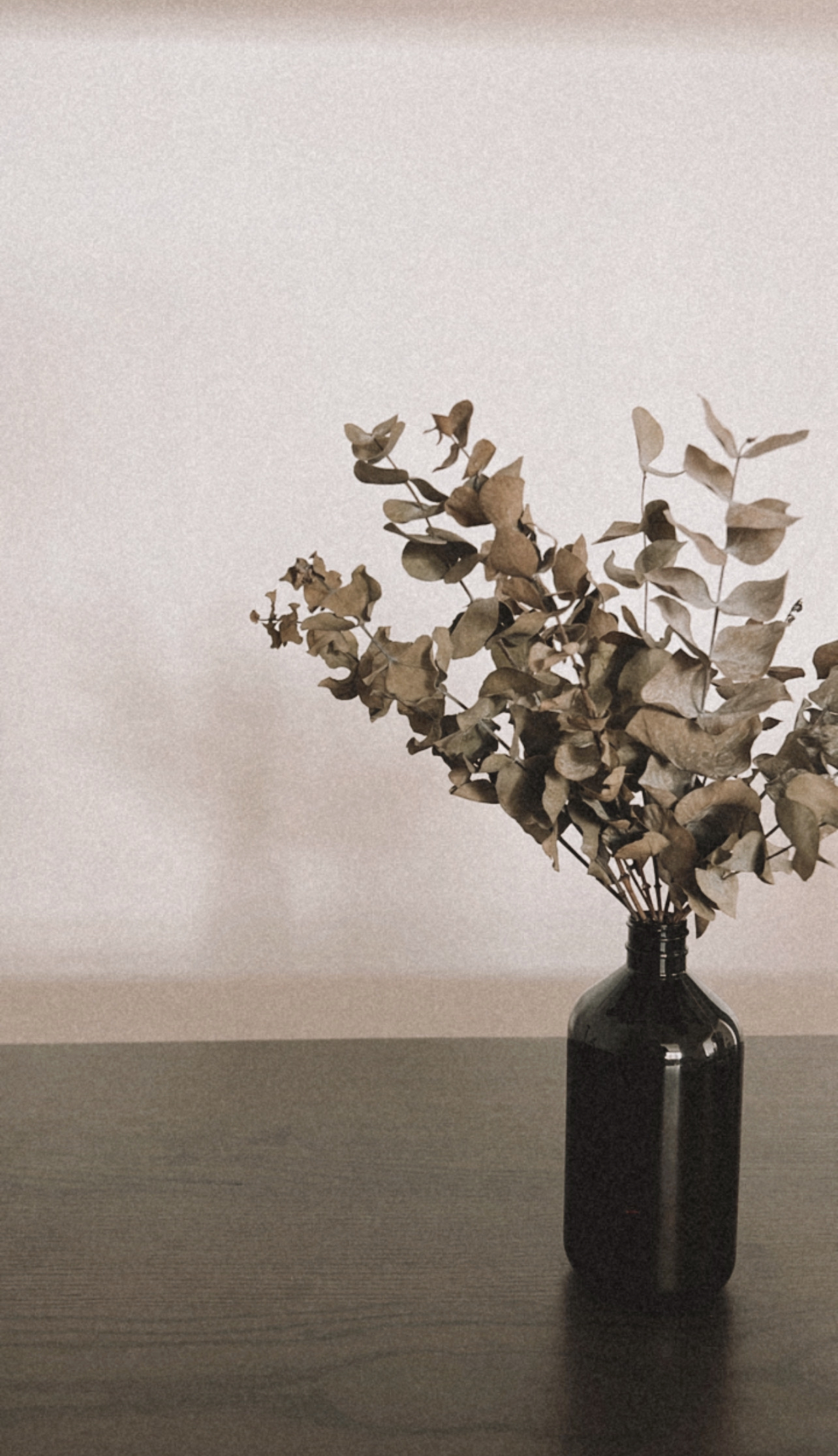 our urban oasis 🍂🍃 - vase, dried flowers, brown leaves, rustic decor, minimalist setup, natural elements, vintage style