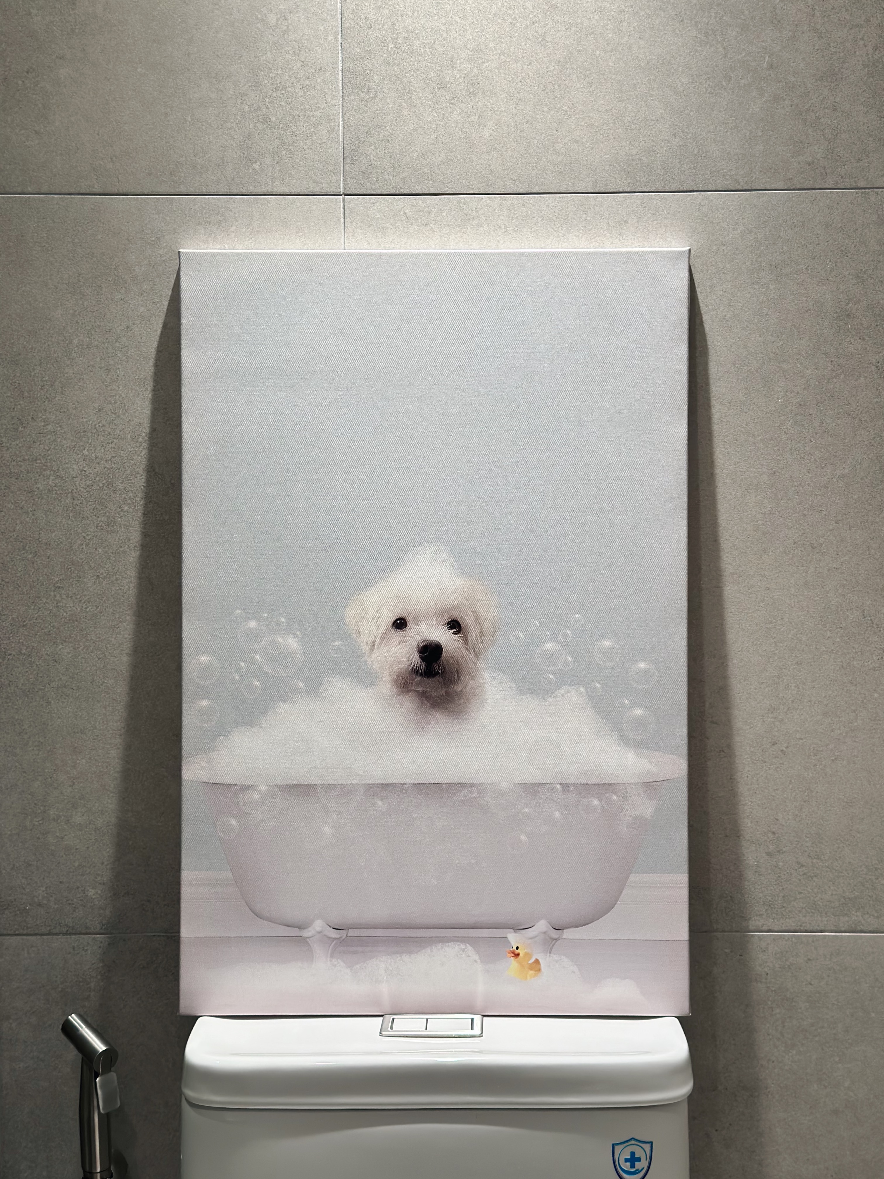 Neutral-with-a-Pop-of-Colour-✨🧻