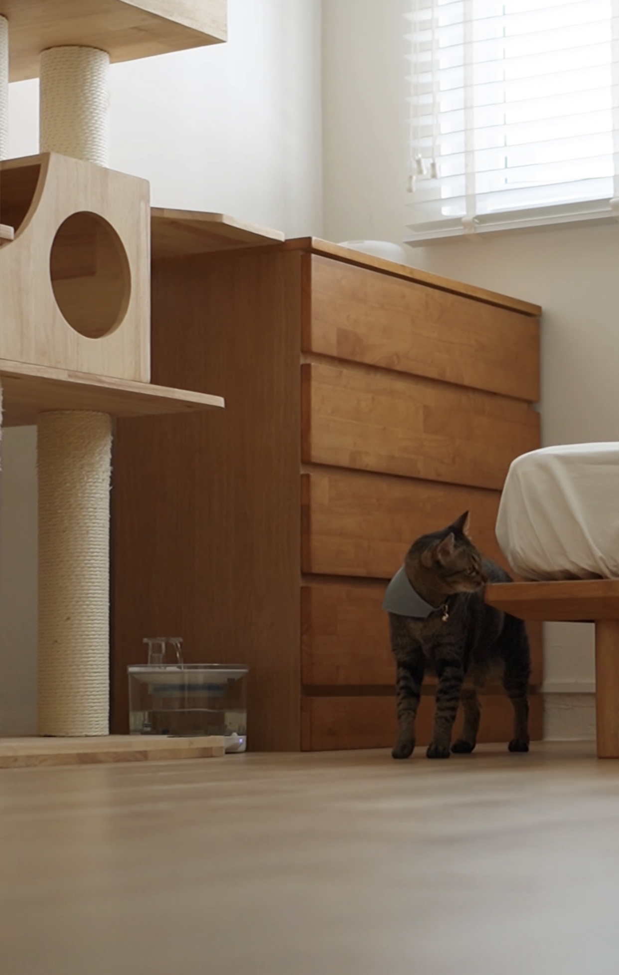 Art-and-Science-of-Minimalism(Feng-Shui)-in-Your-Home