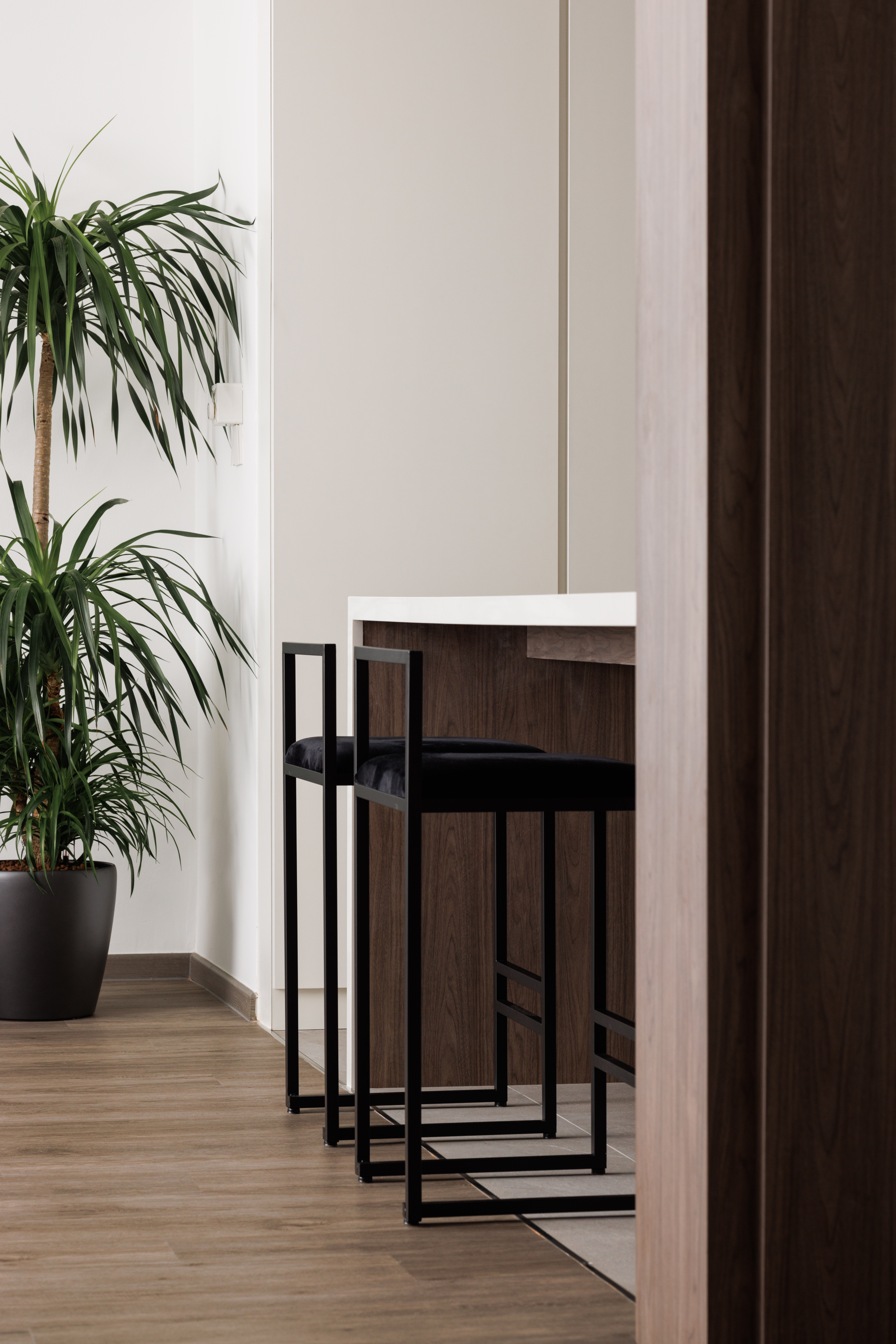 A Bright and Elegant Open Plan Home - Modern minimalist interior, sleek black bar stools, wooden floor, large green potted