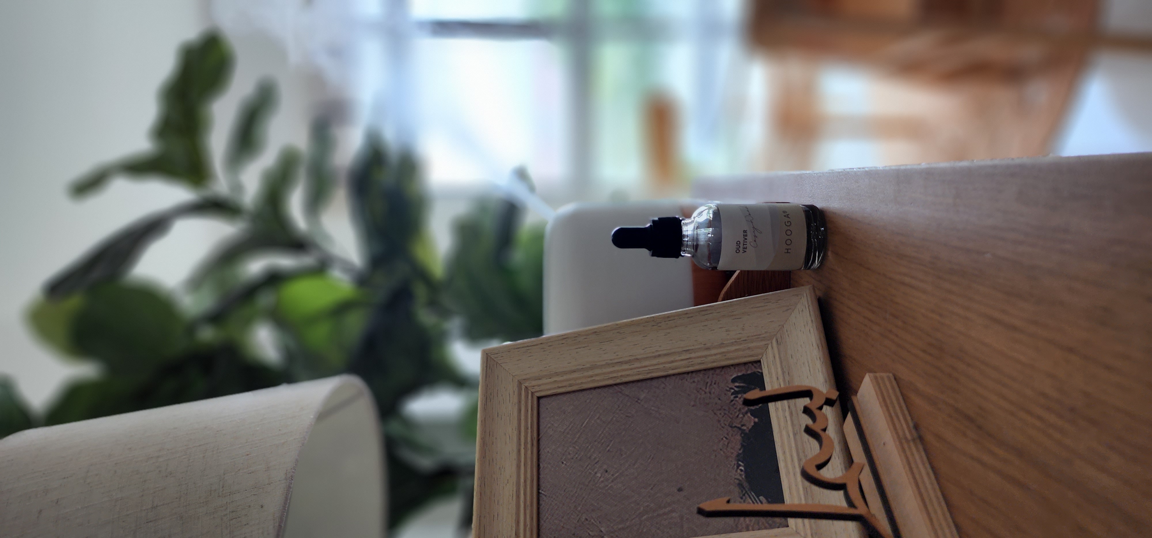 Enjoy your home, you deserve it! - vintage wooden frame, small bottle, natural light, indoor setting, green plants, wooden