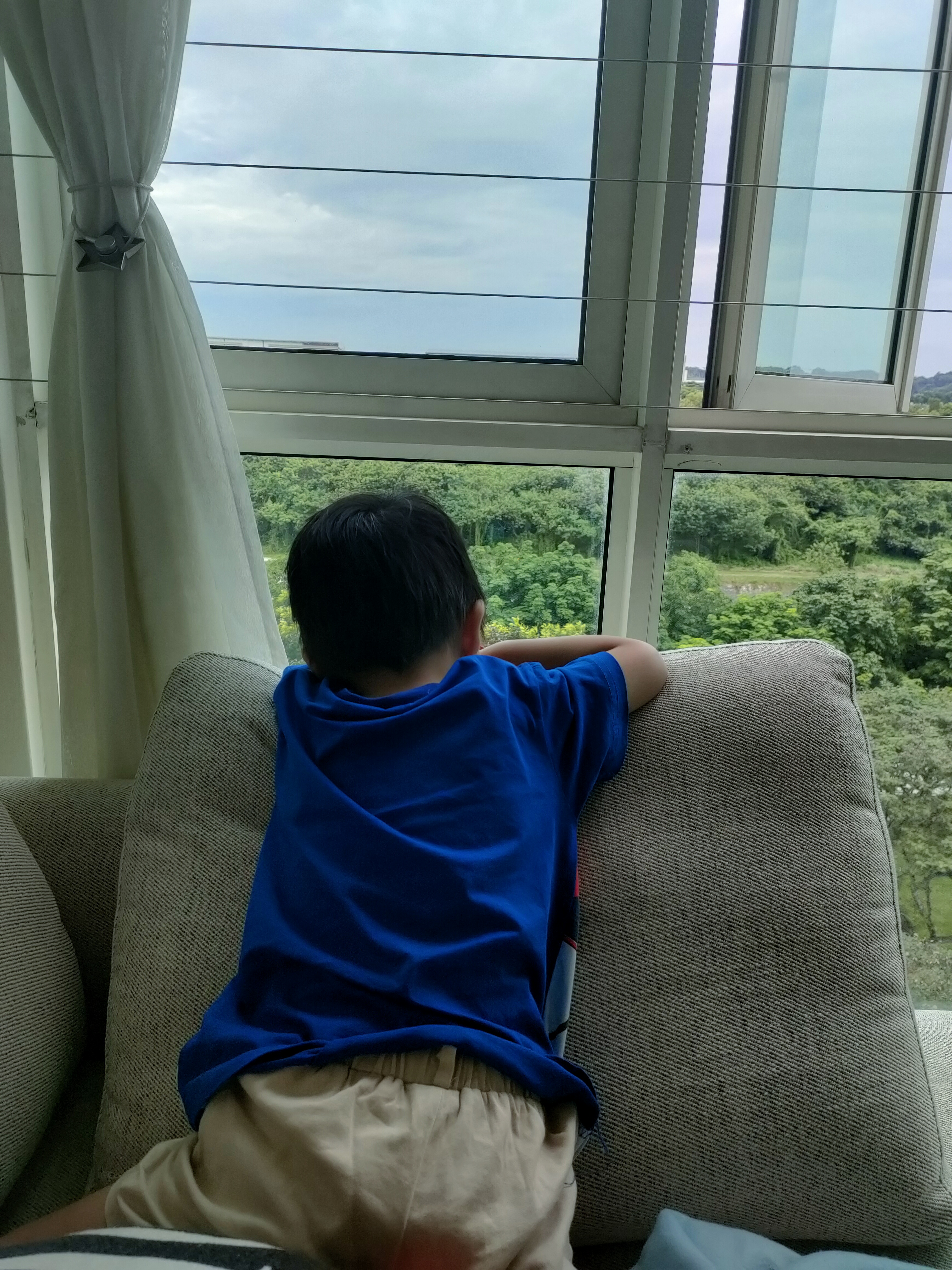 What makes the house our home... - Curtain, window, blue shirt, beige shorts, child, sitting, looking, green trees, outdoor