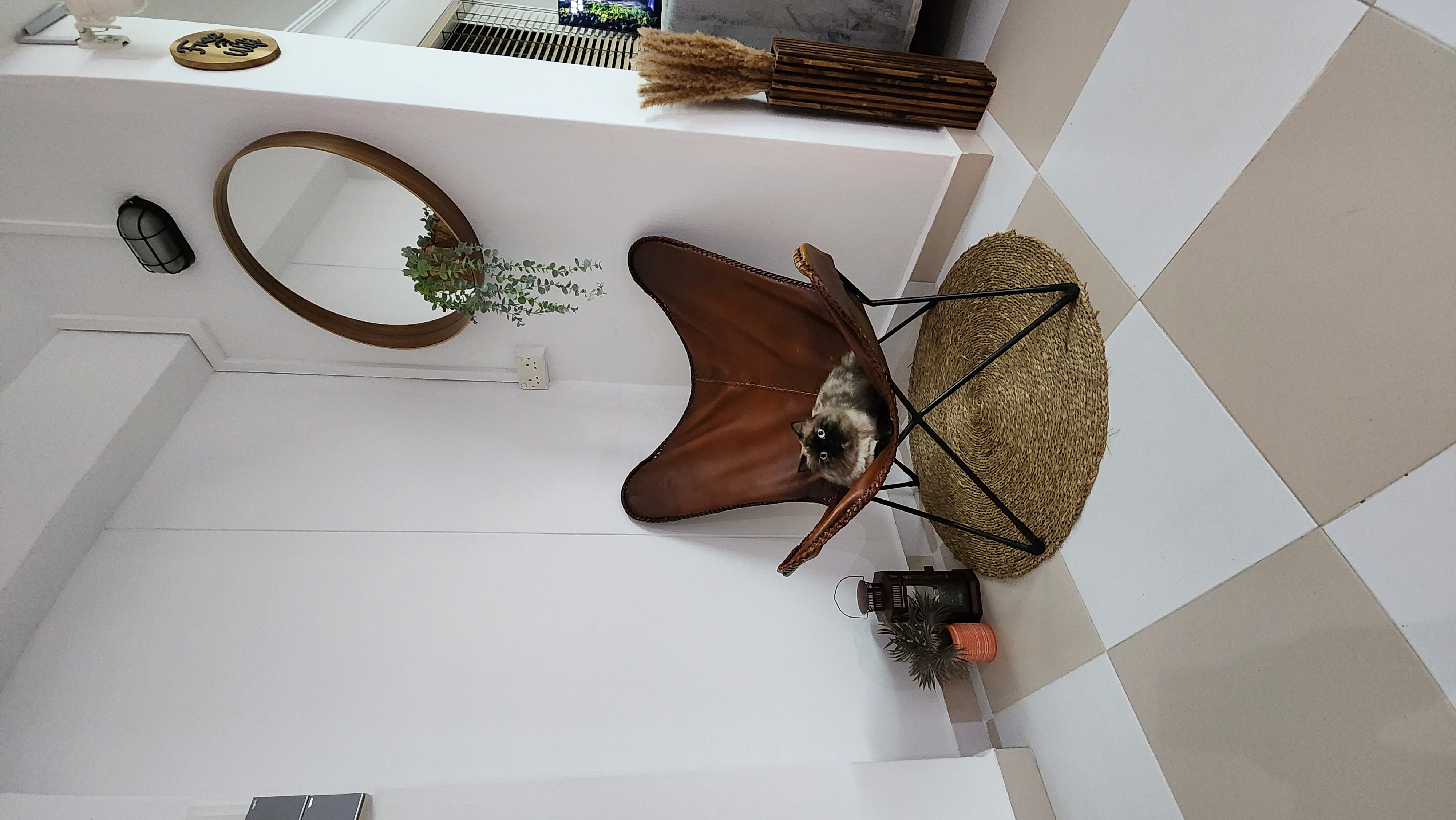Cosy Corners of our home - white wall, modern decor, brown leather chair, small plant, round mirror, woven rug, cozy corner