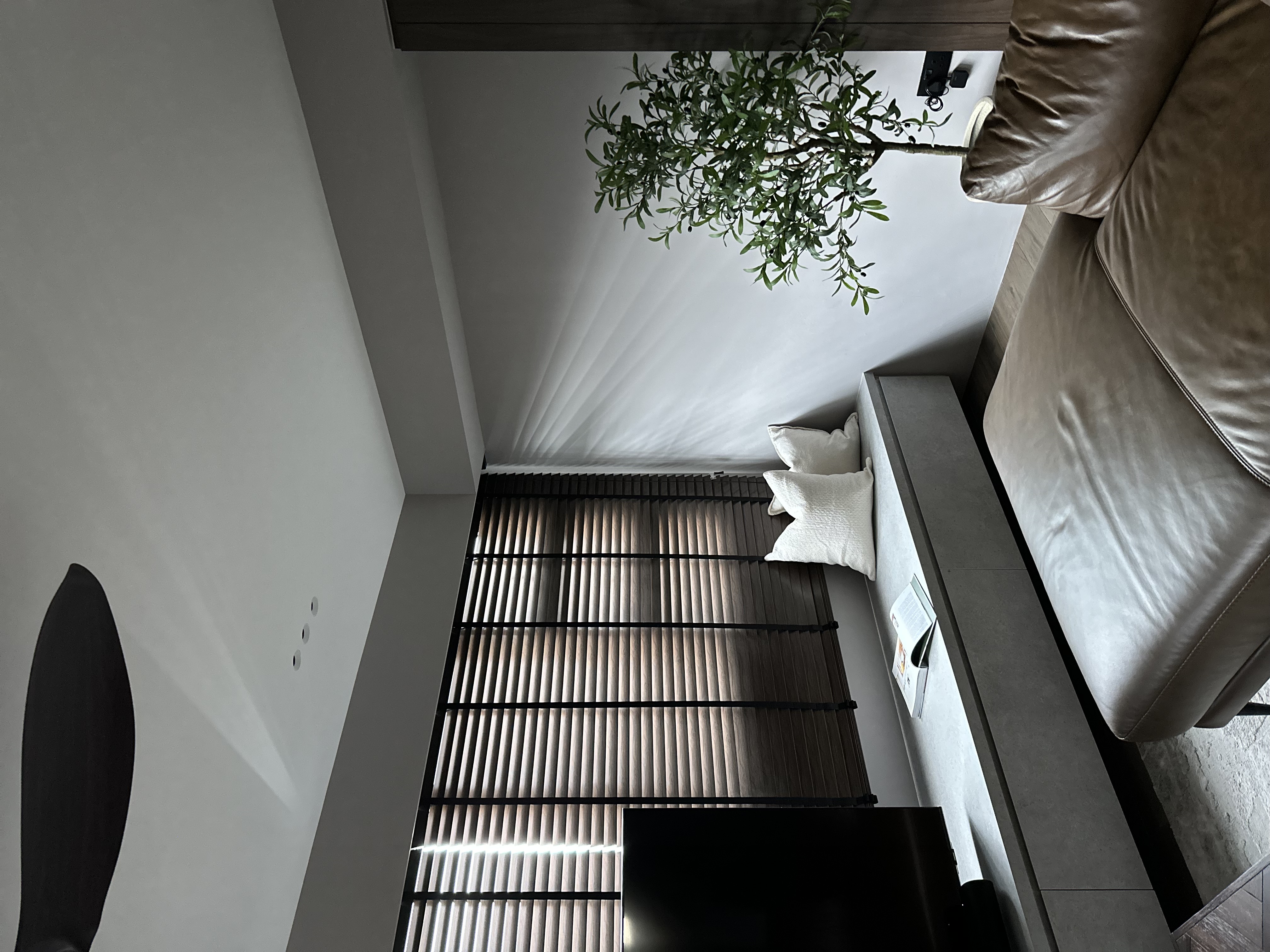 Livening-our-home-with-greenery-🍃-