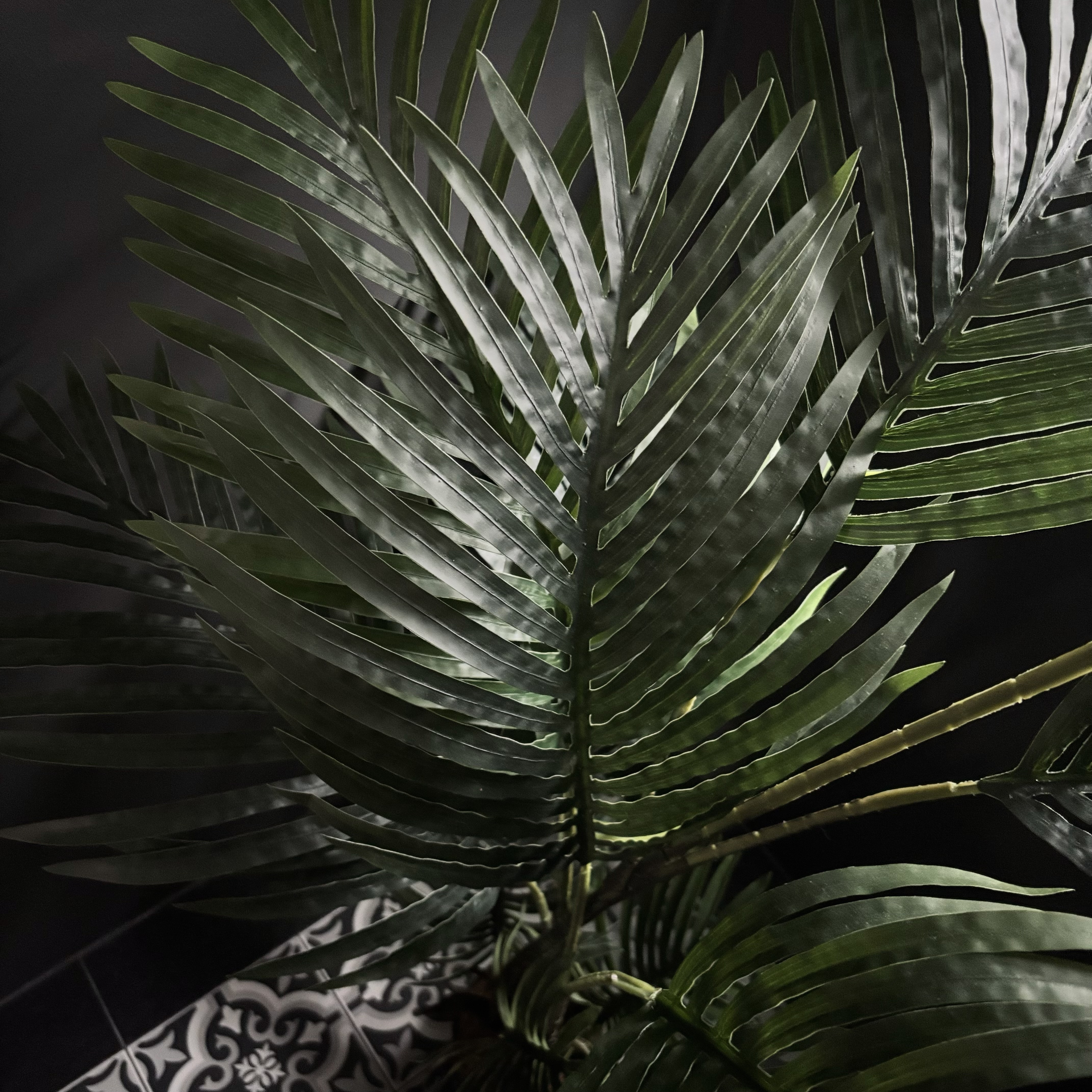 Elevating our home effortlessly with faux plants 🍃🌿 - Green, tropical, palm, leafy, elongated, veined, glossy, dark