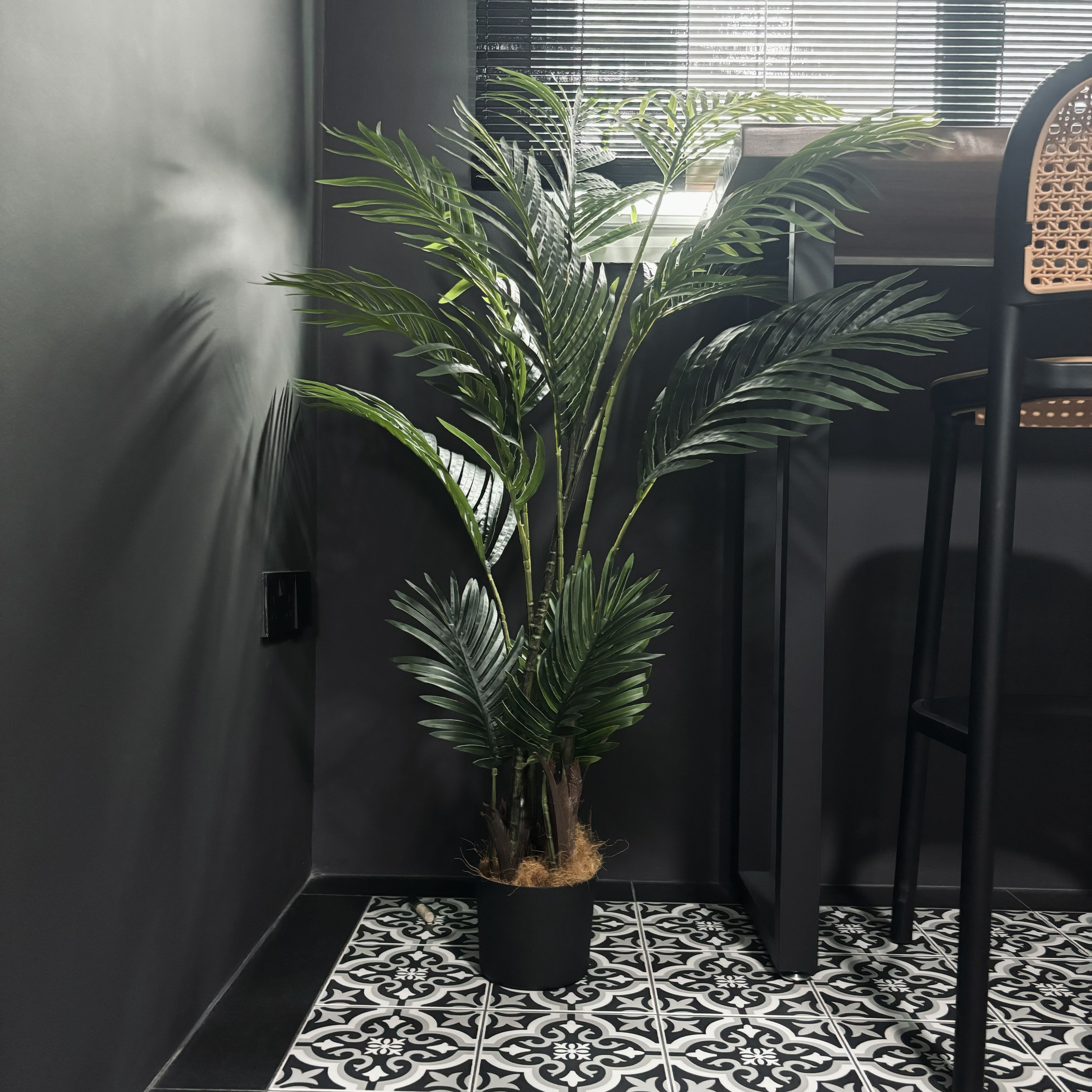 Our version of recreational area - the "balcony" - modern indoor setting, indoor plants, indoor greenery, indoor plant