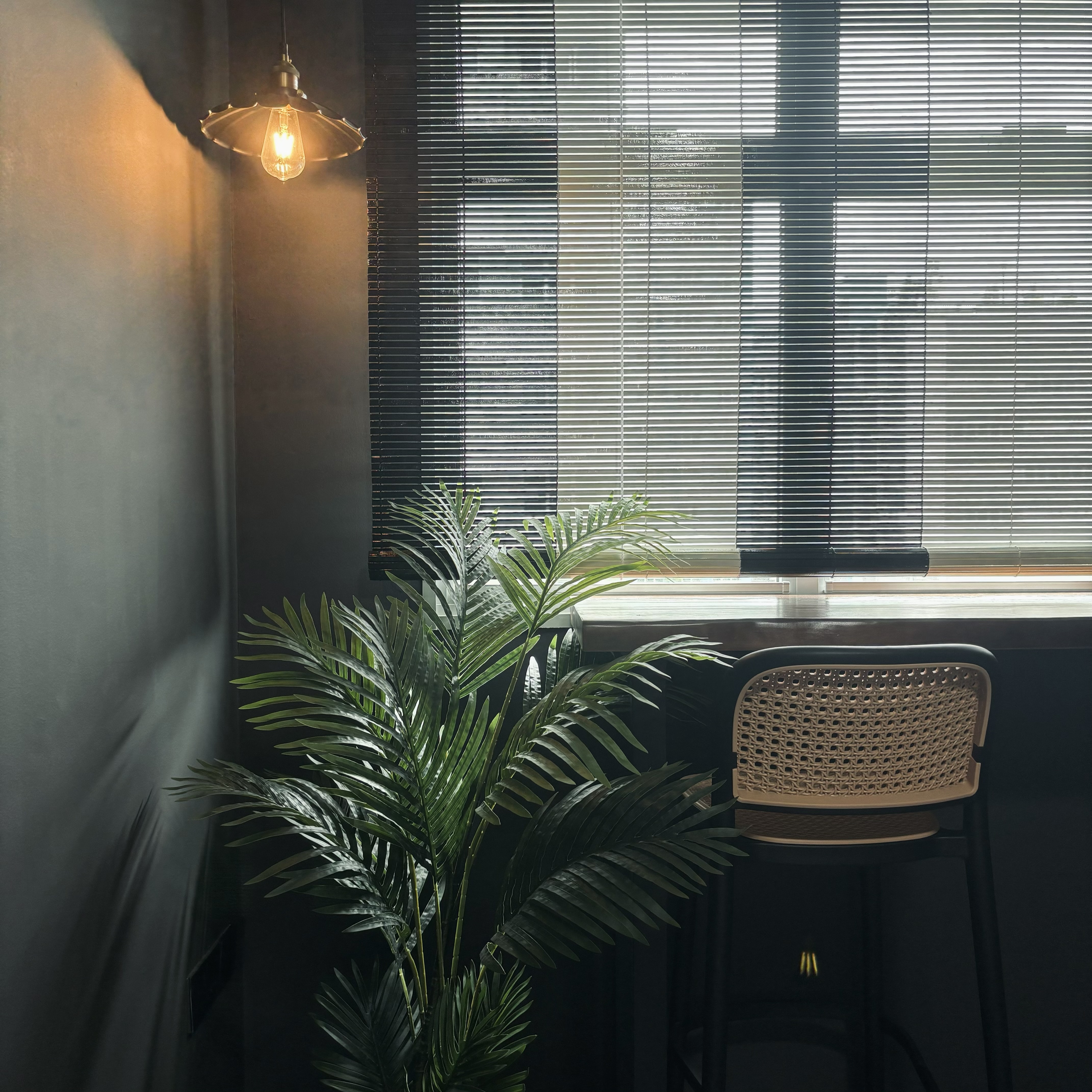 Our version of recreational area - the "balcony" - dimly lit room, modern decor, green potted plant, abstract wall art