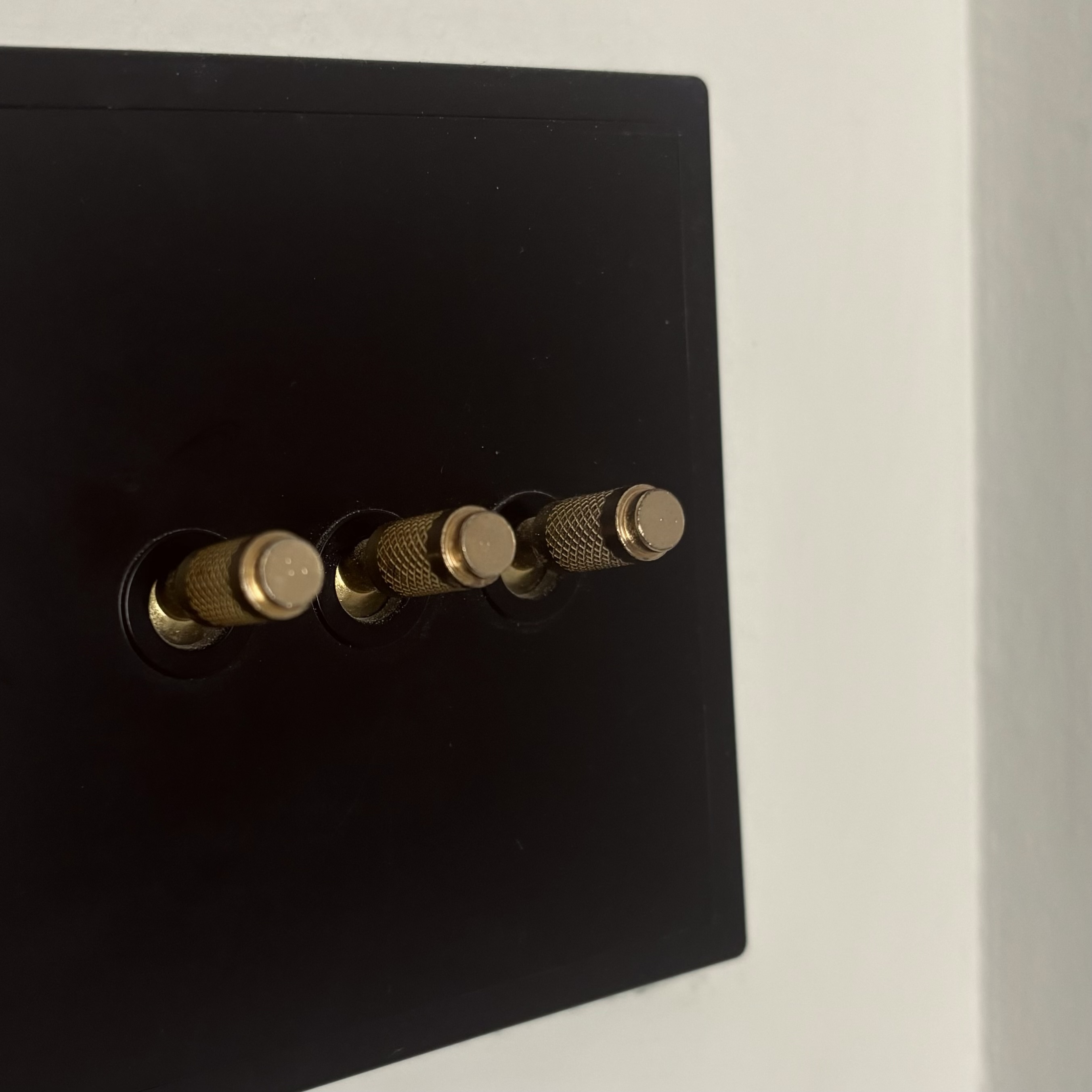 Entryway - cheap way to hide the ugly bomb shelter door! - black wall socket, brass screwdriver, three screwdriver bits, wall