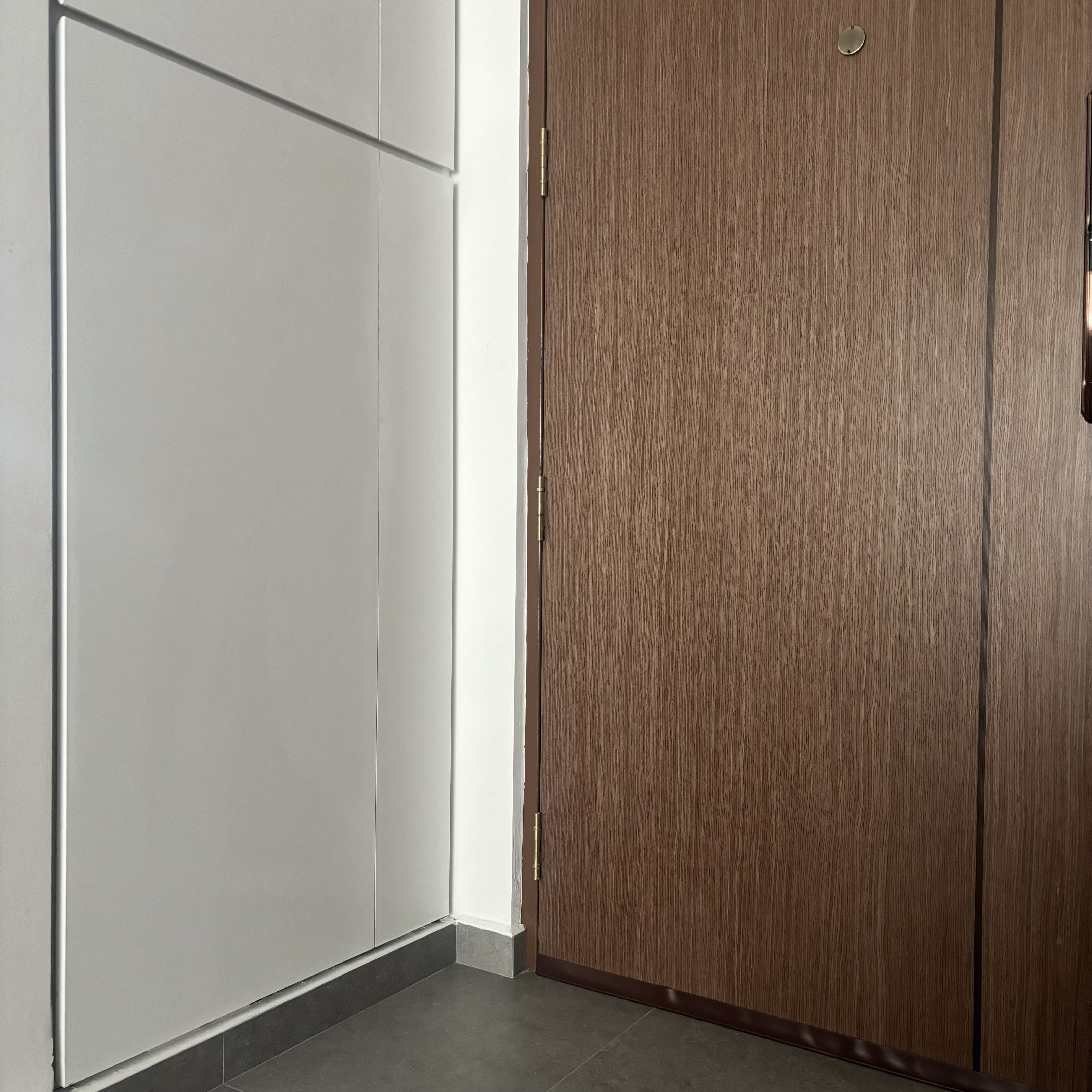 Entryway - cheap way to hide the ugly bomb shelter door! - Wooden door, white wall, metallic handle, vertical panel, brown