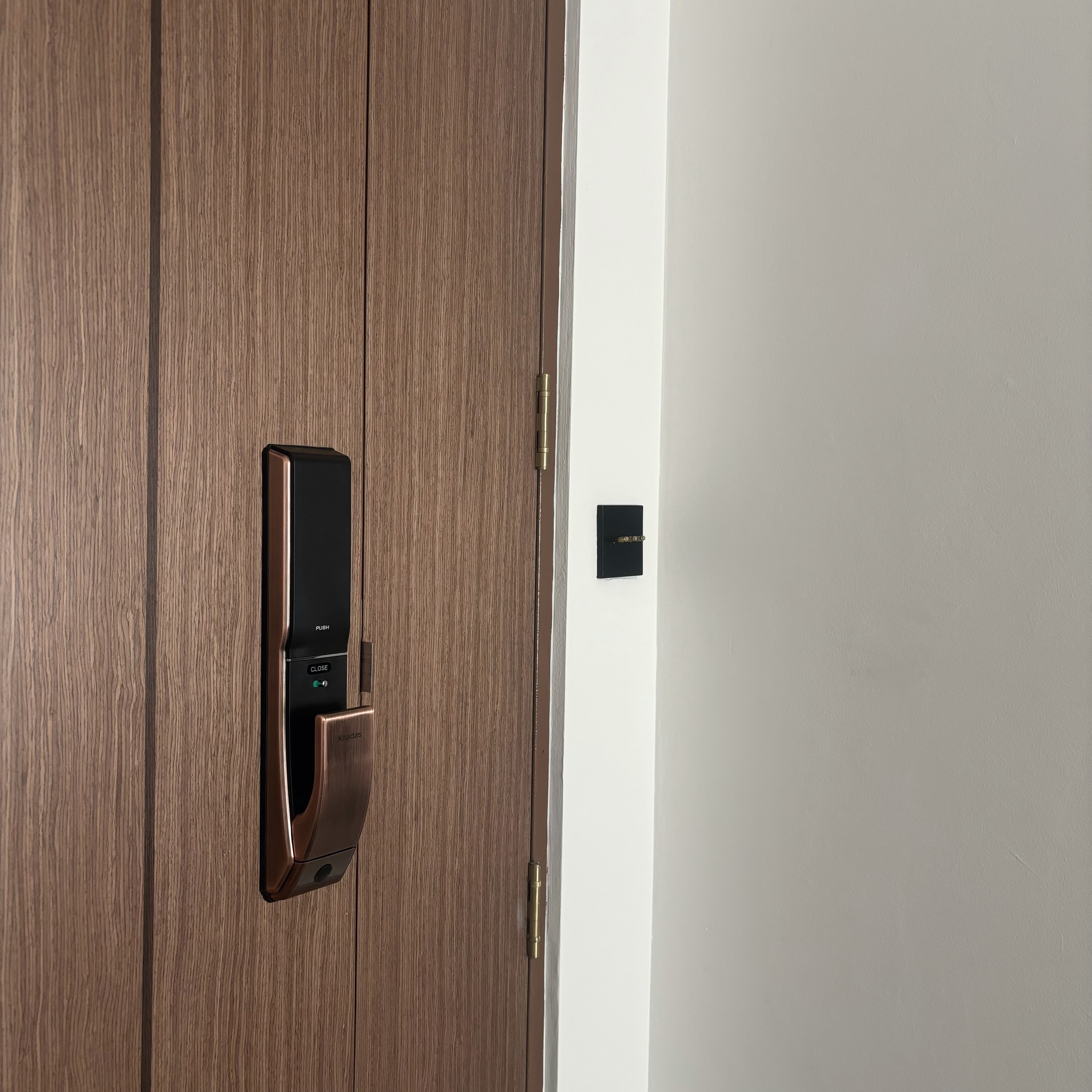 Entryway - cheap way to hide the ugly bomb shelter door! - Wooden door with modern door handle, metallic door handle, black