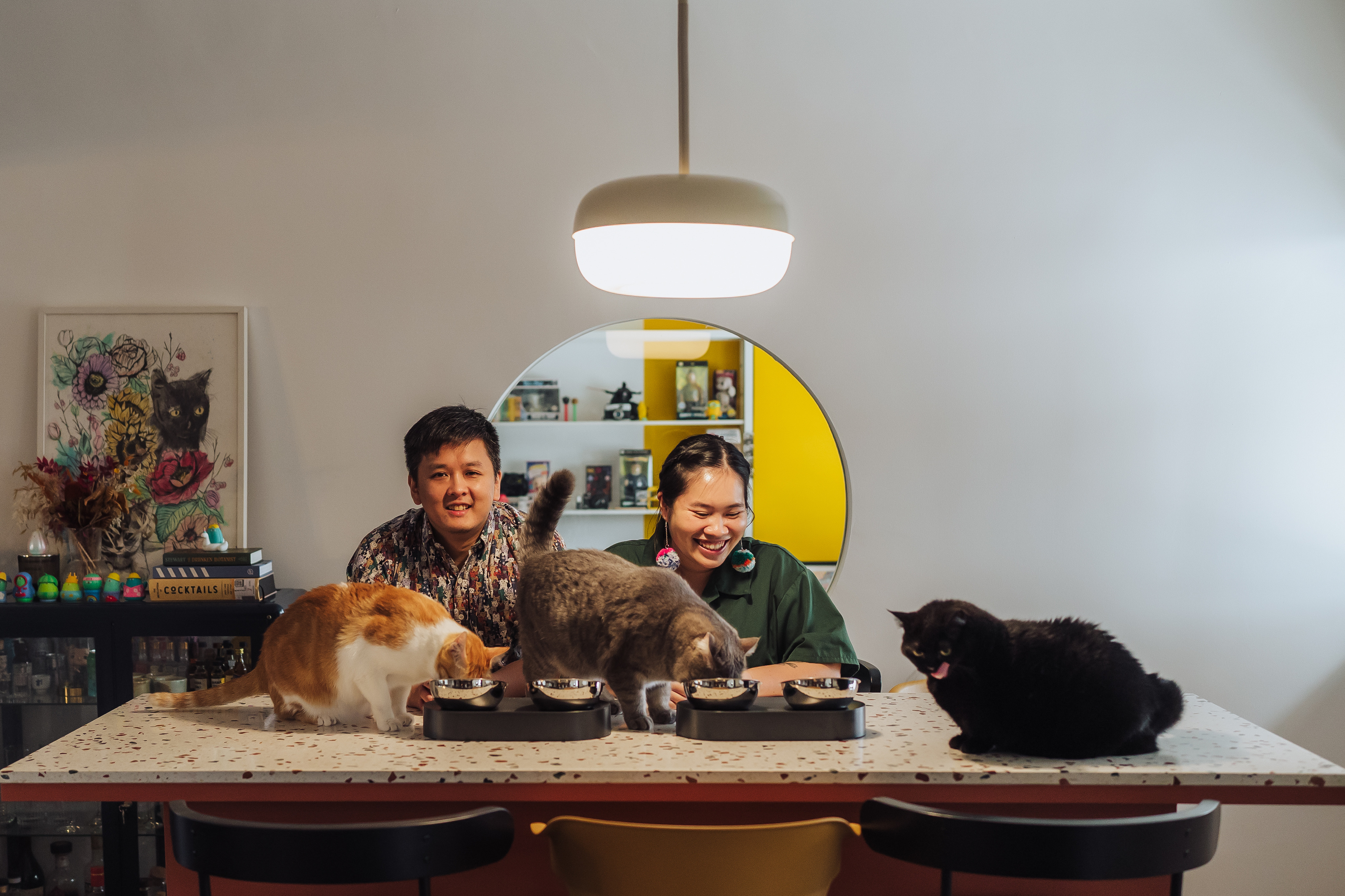 A 5-room mid-century + eclectic home for 3 cats!