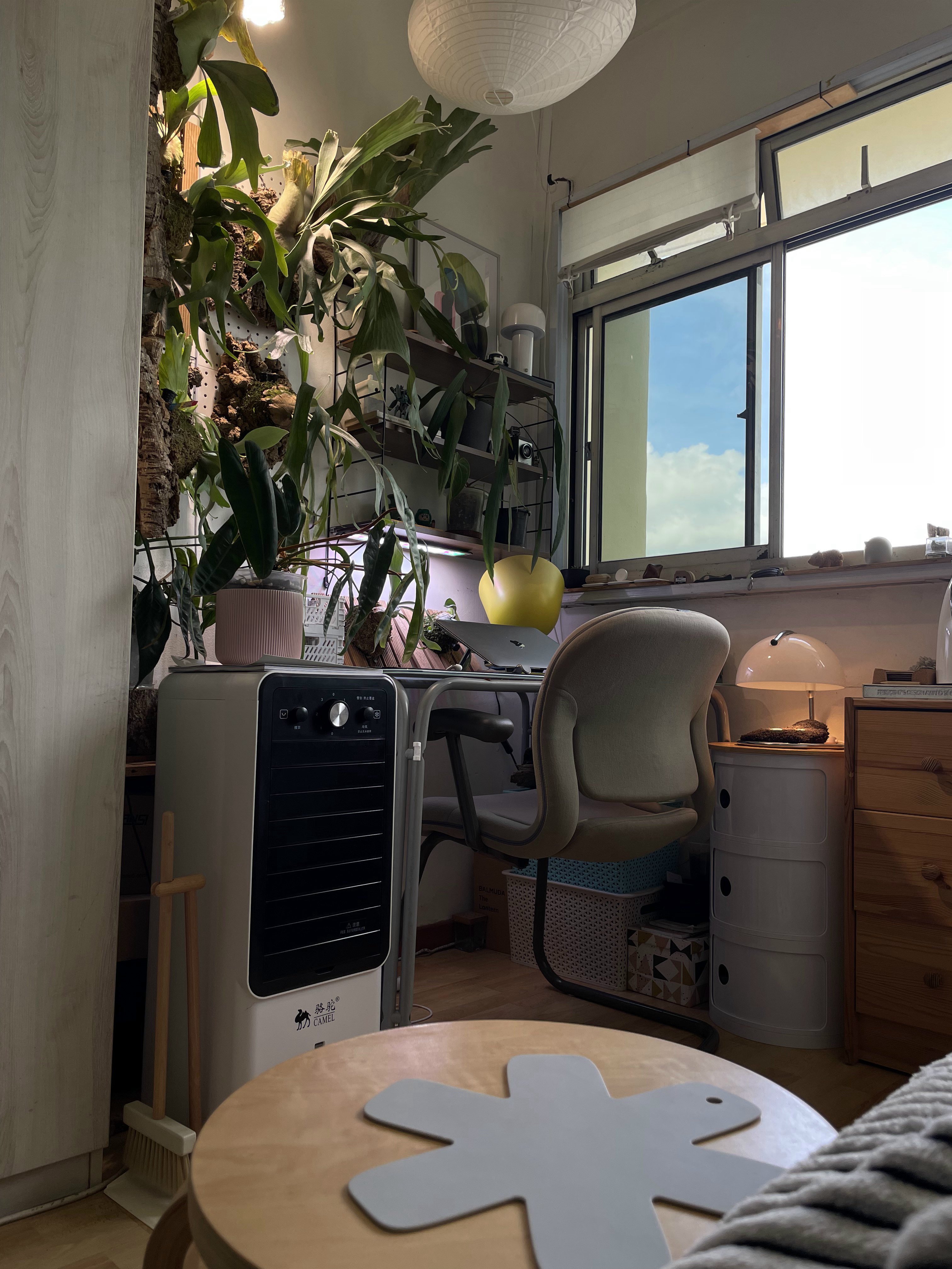 Bedroom Living -Small Space Thoughtfully Curated for Two