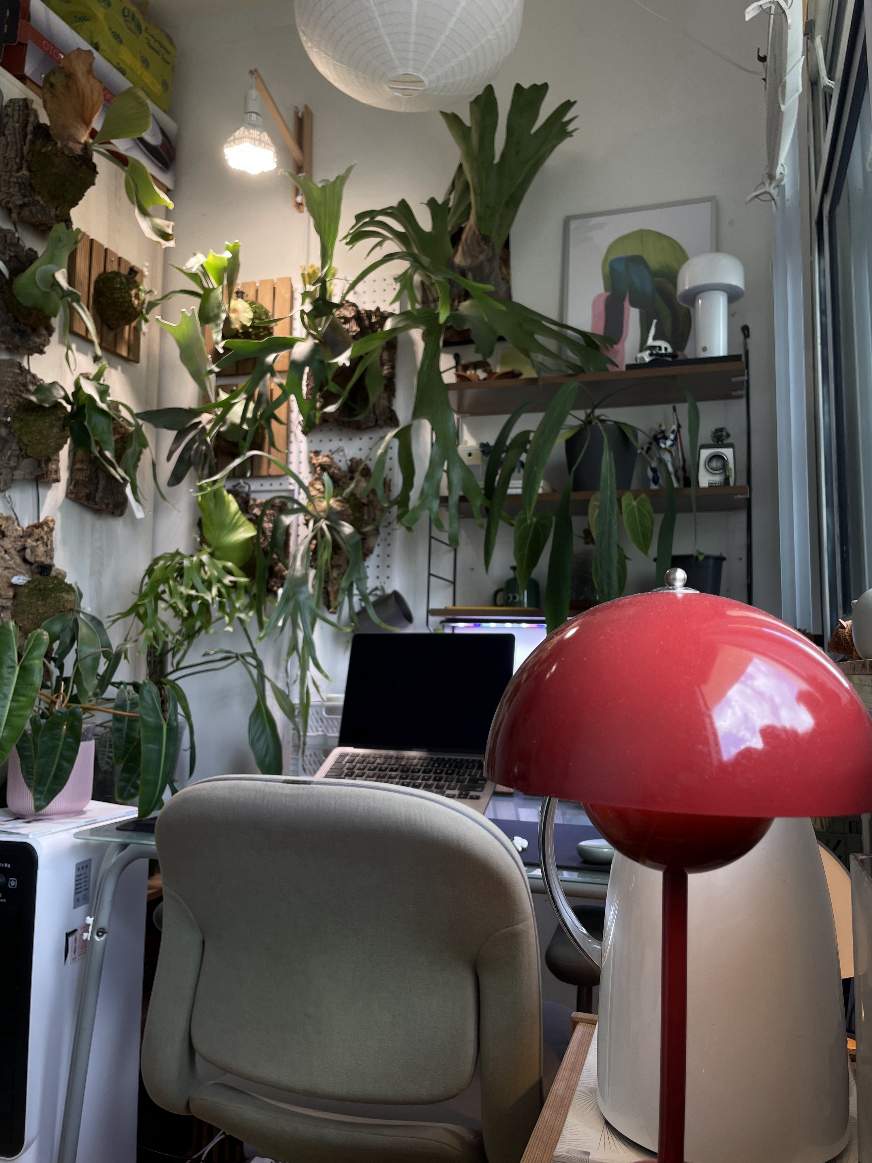 Bedroom Living -Small Space Thoughtfully Curated for Two - Green indoor plants, modern workspace, desk with laptop, red desk