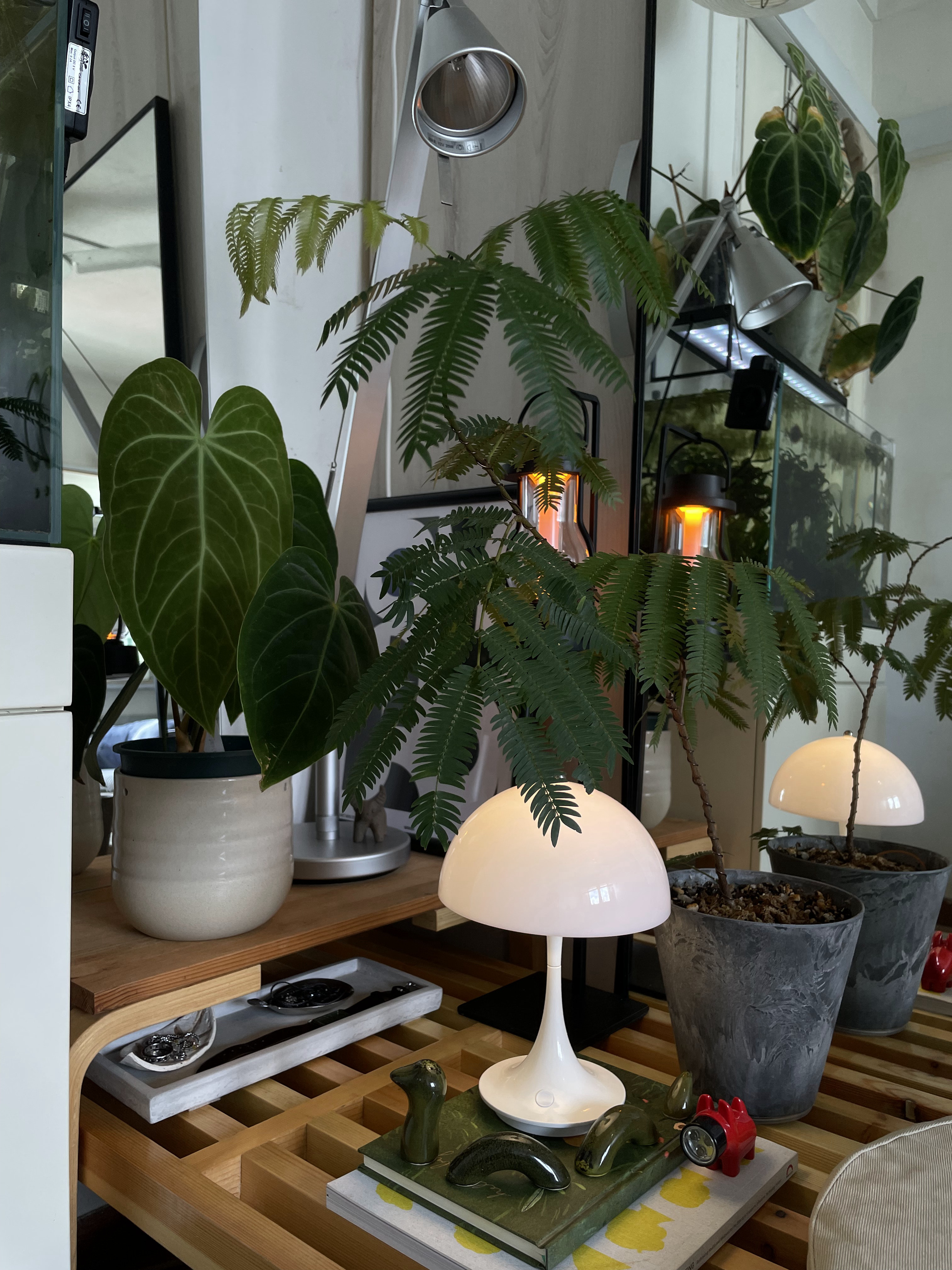 Bedroom Living -Small Space Thoughtfully Curated for Two