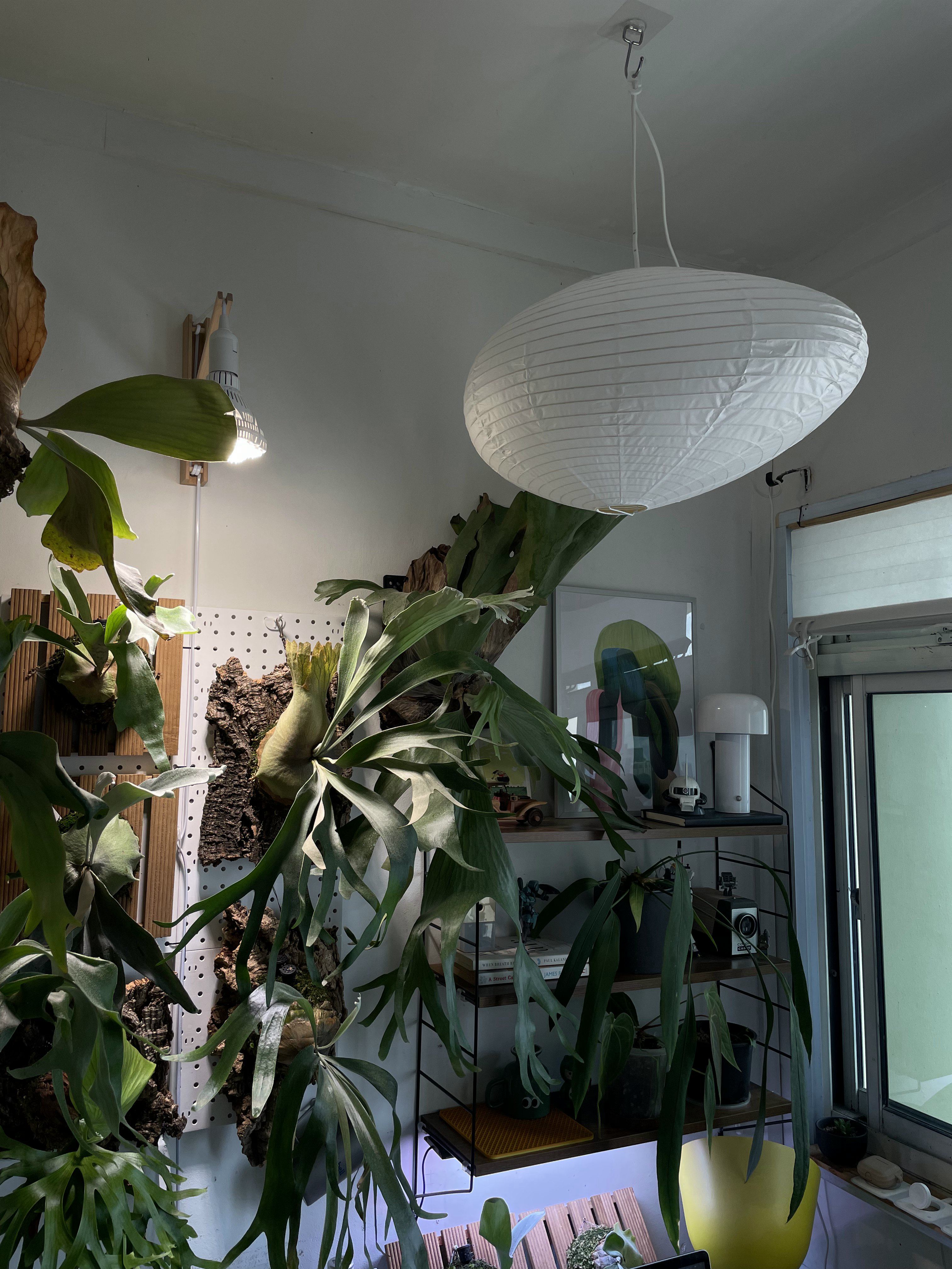 Bedroom Living -Small Space Thoughtfully Curated for Two