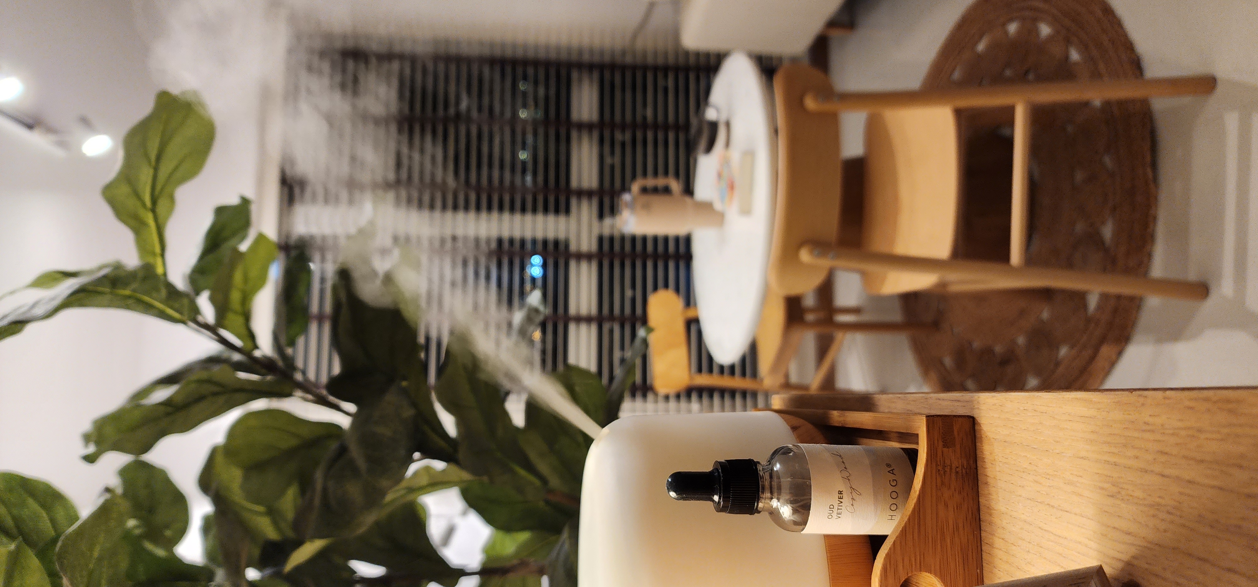 How to Hygge, Hoo Guh your life?! - Indoors, green plant, wooden shelf, white bottle, "Oud Velveen" label, "Hooga" brand