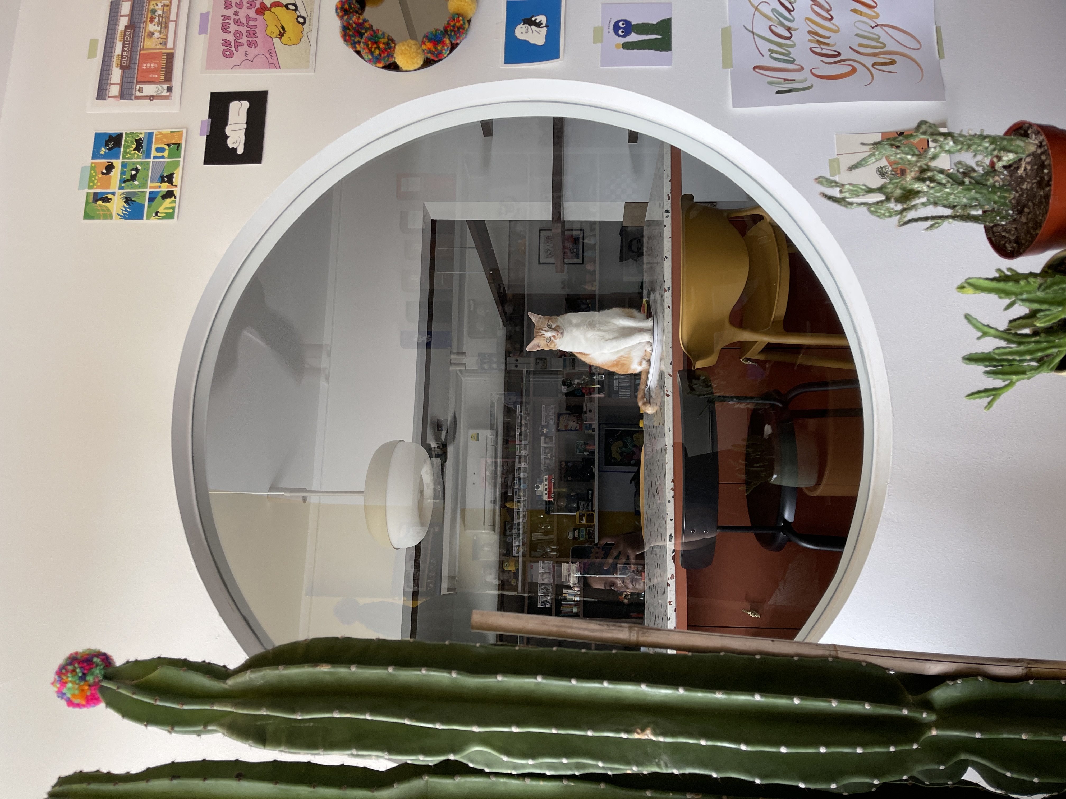 Our 2.1m dining island perfect for hosting!  - cat, indoor, room, potted plant, colorful, green, wall art, framed pictures