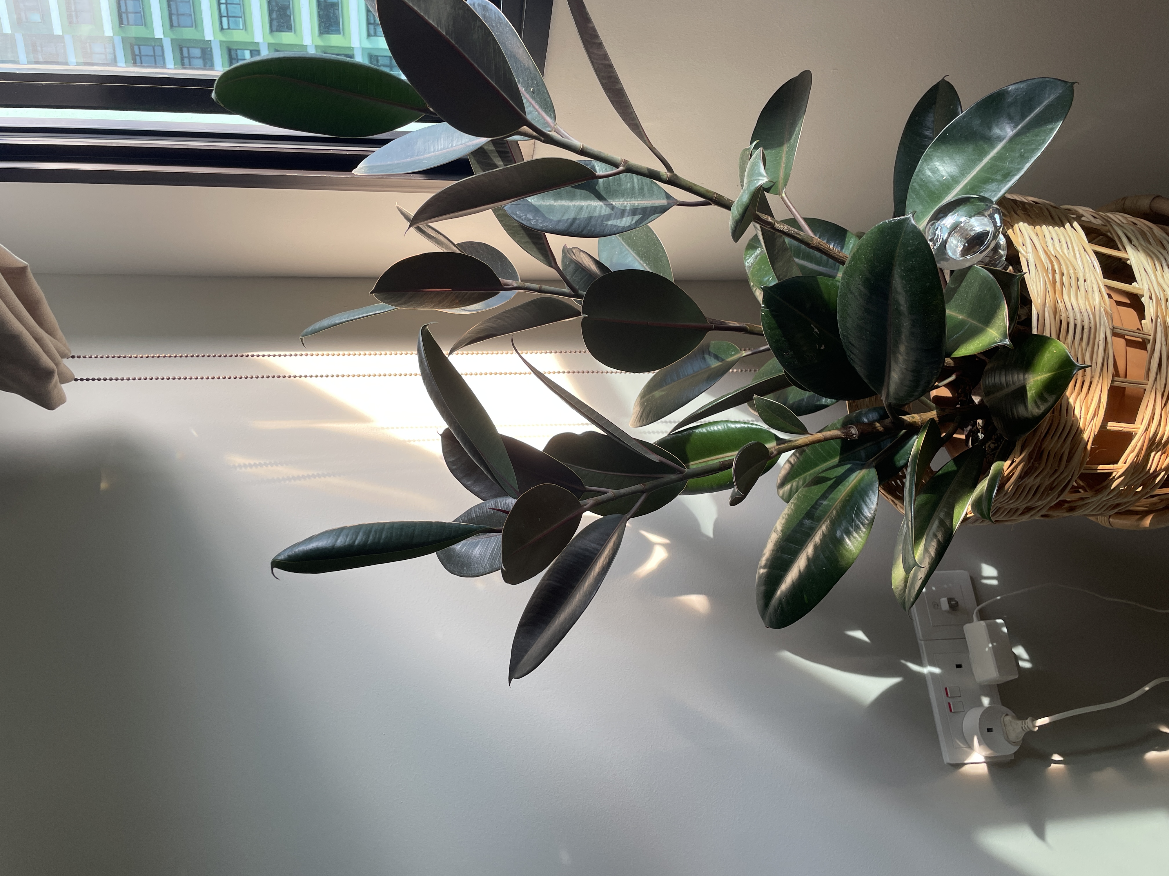 A refurbished home full of personality