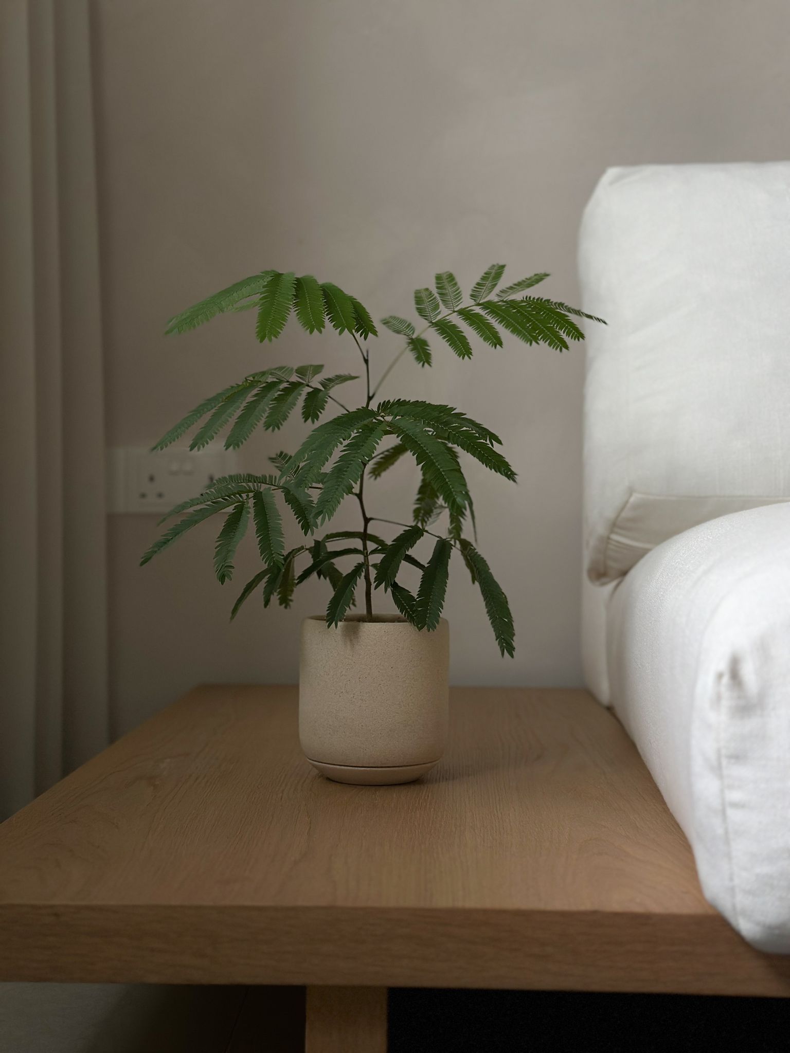 Bringing-our-Japandi-theme-to-life