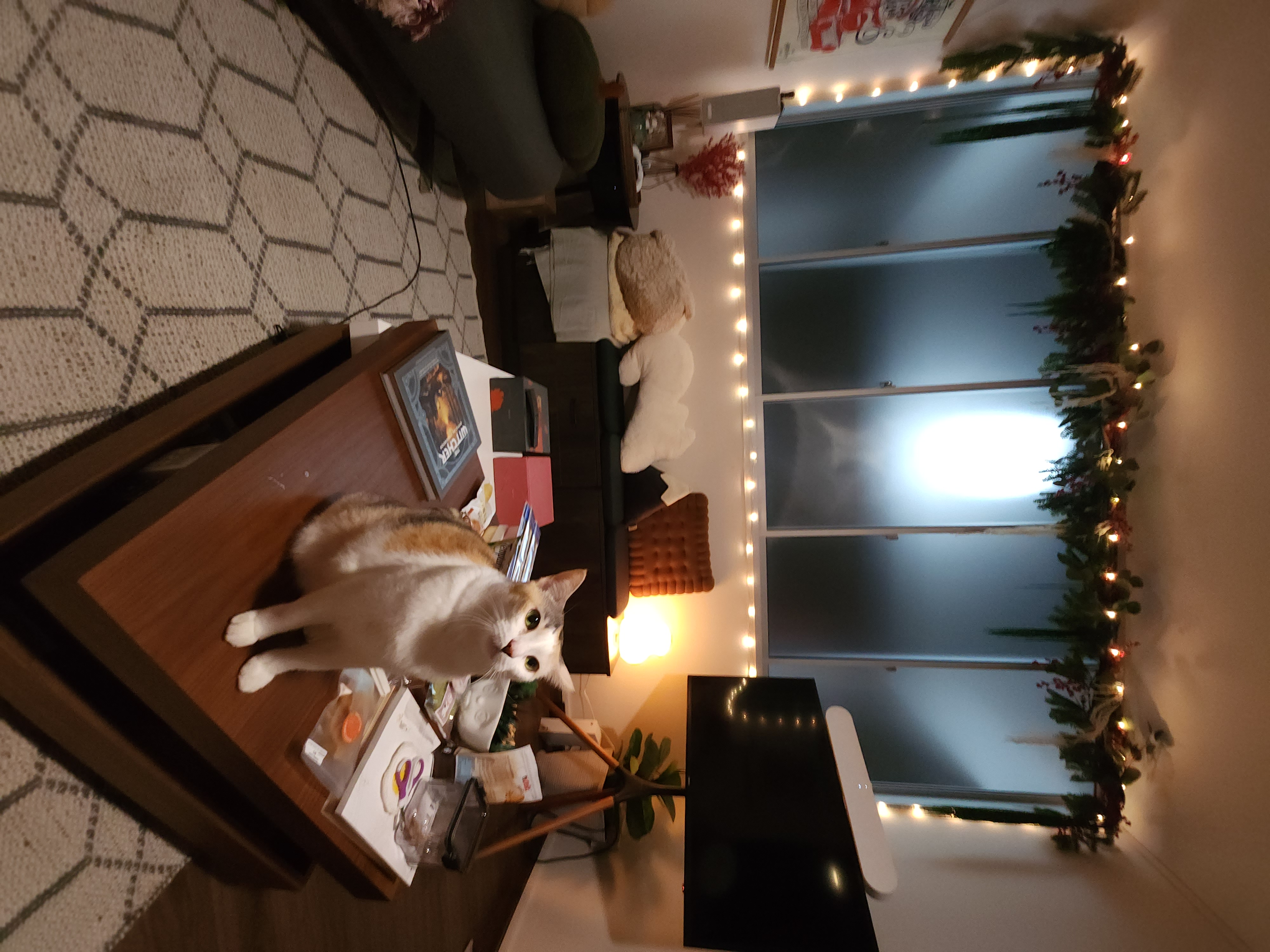 A maximalist Christmas set-up with DIY touches! - Cat on coffee table, Christmas decorations, cozy room, warm lighting