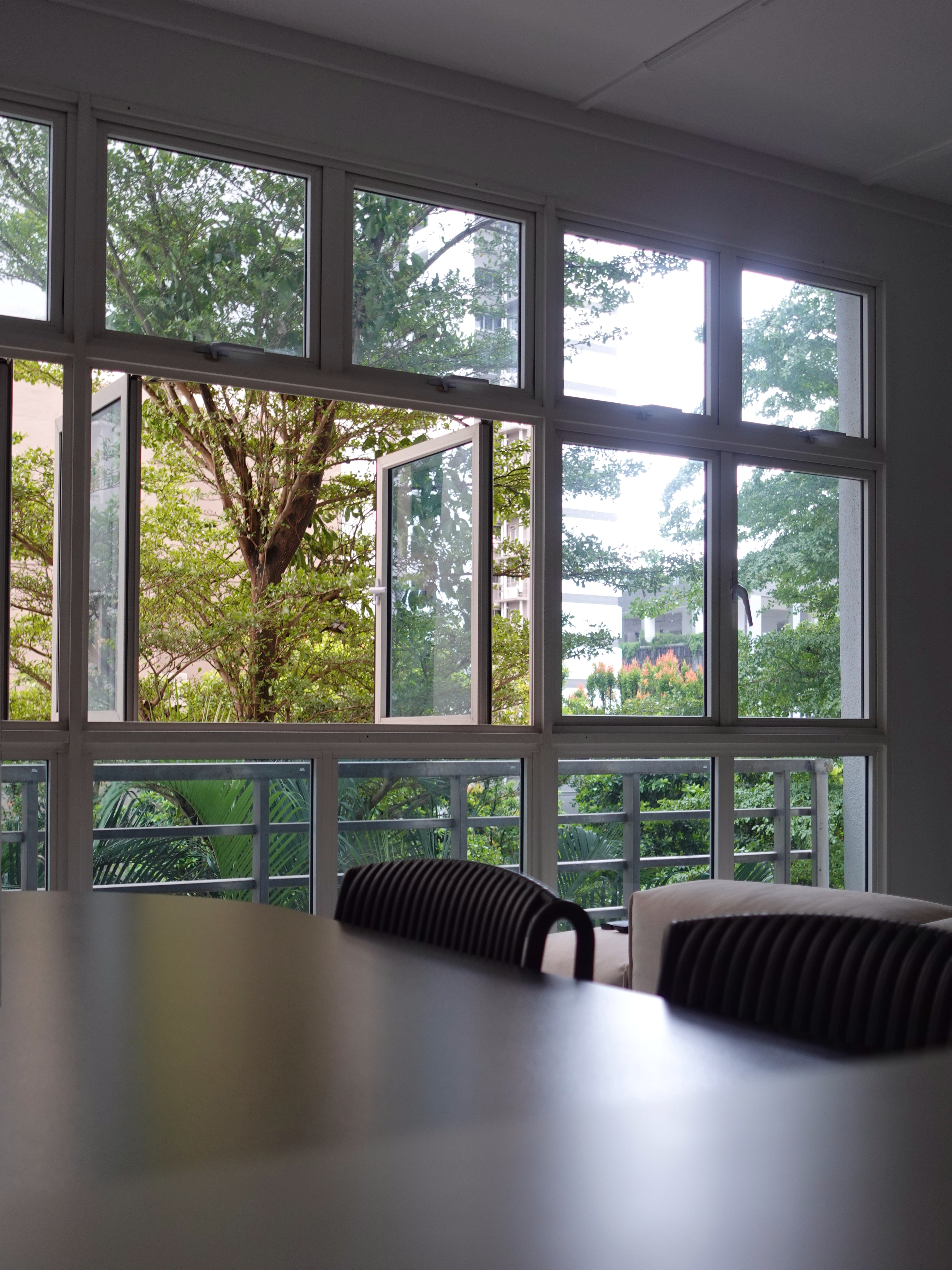 How we kept our dining room visually clutter-free - Large windows, green foliage, outdoor view, trees, plants, indoor-outdoor