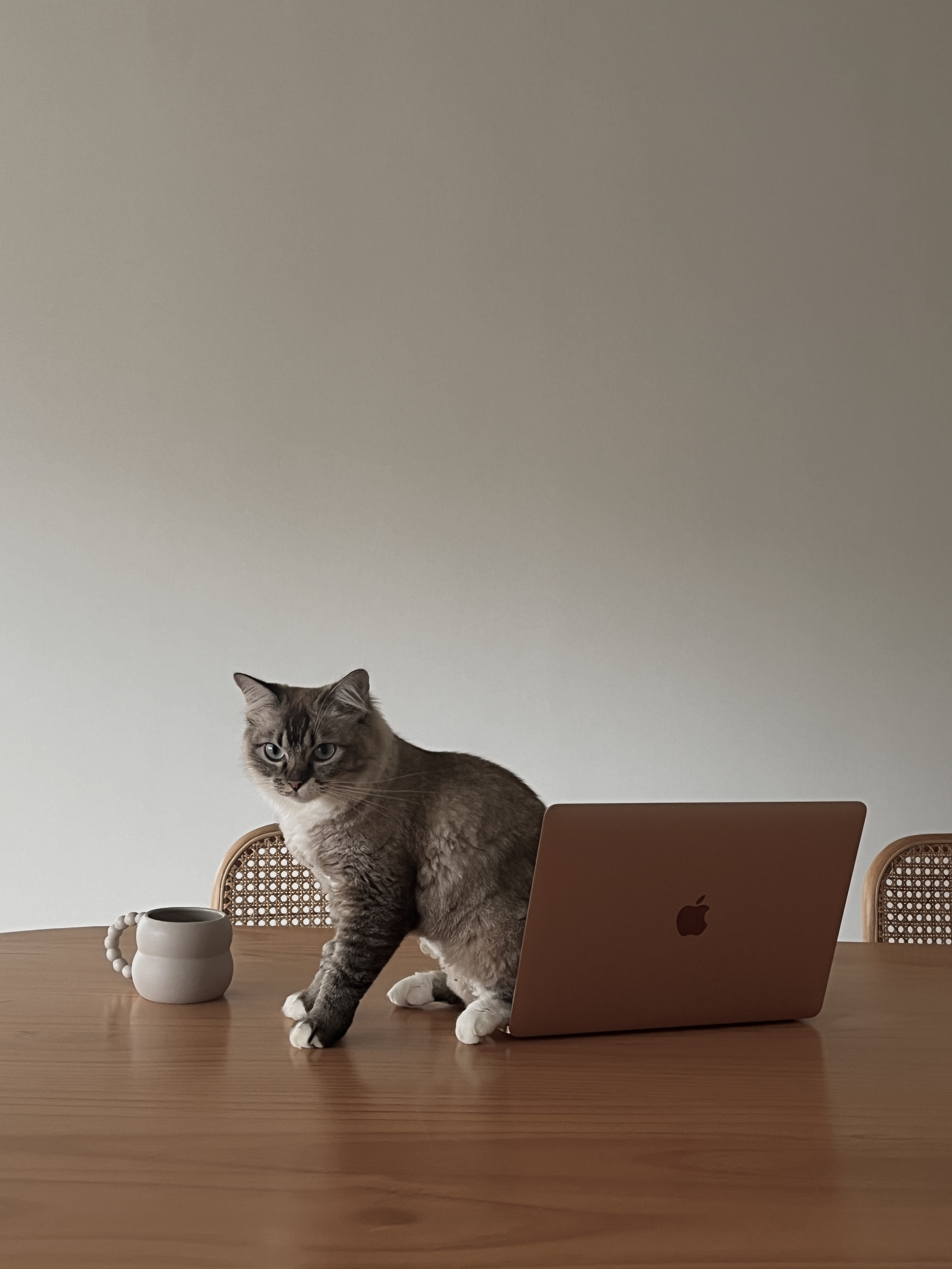 Dining Space: cafe vibes at home