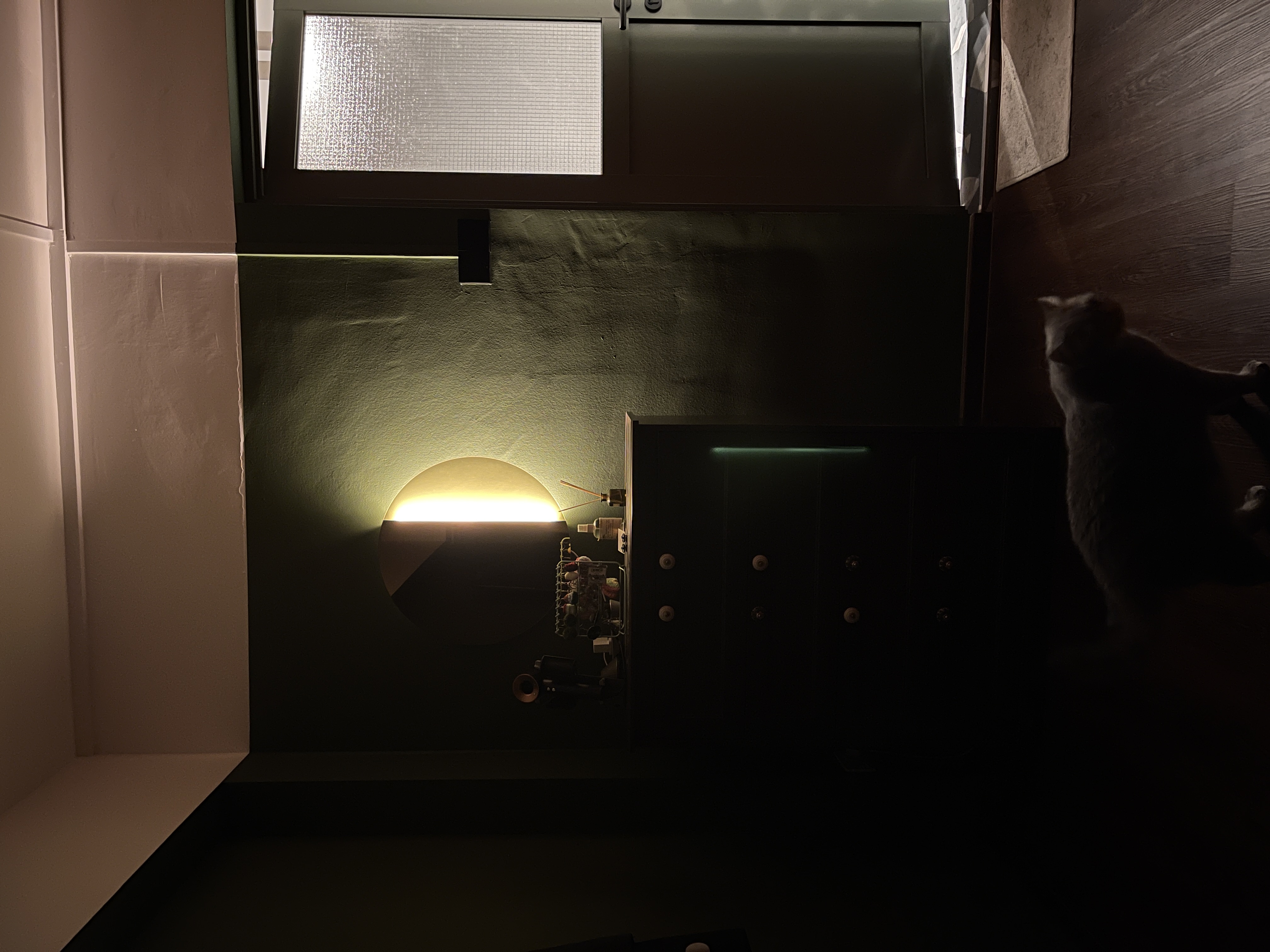 Cosy nights in The Garlic HQ bedroom! - dimly lit room, cat climbing, green light, circular light fixture, dark wooden wall