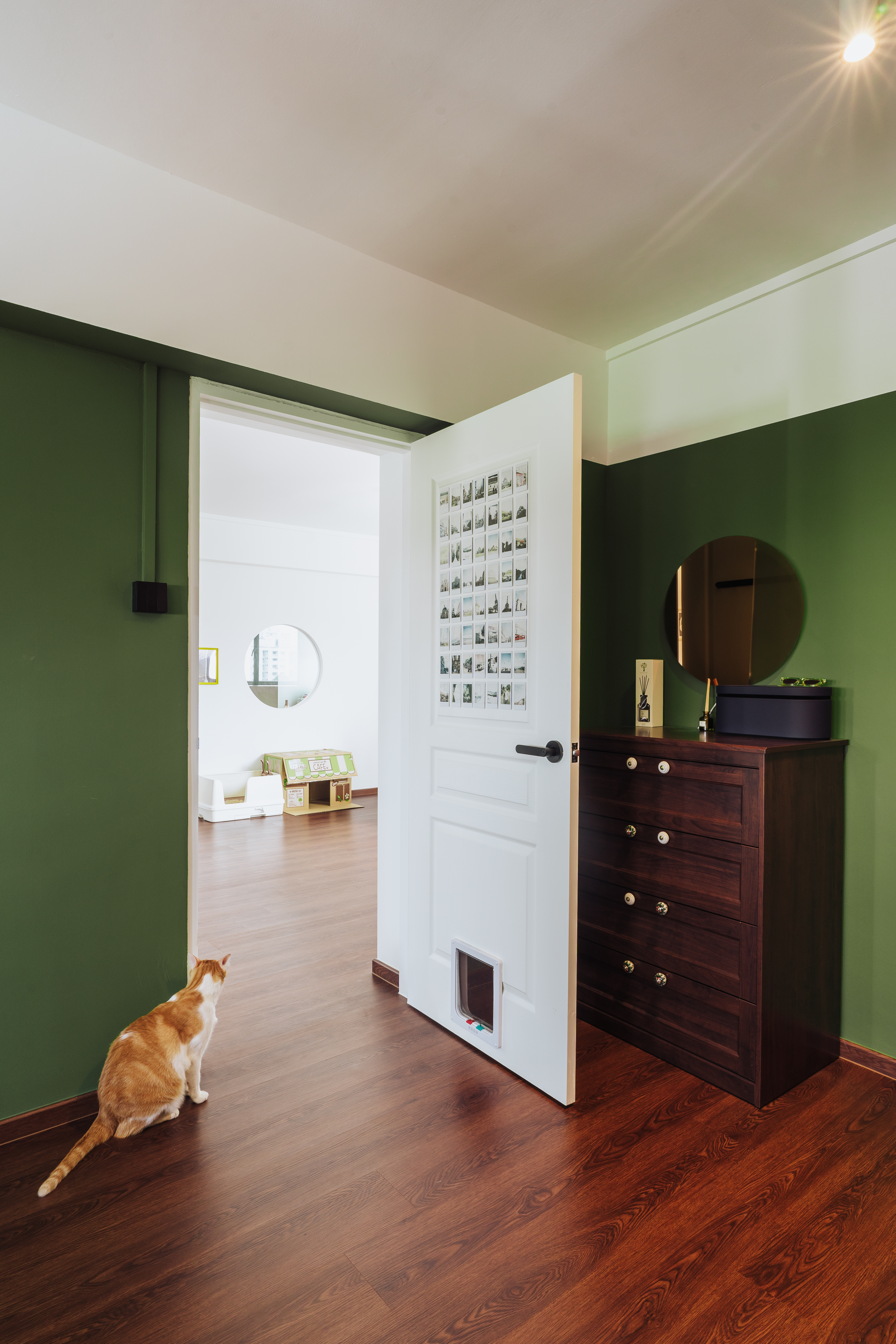 Cosy nights in The Garlic HQ bedroom! - Green walls, wooden floor, cat sitting, white door, round mirror, dark wooden