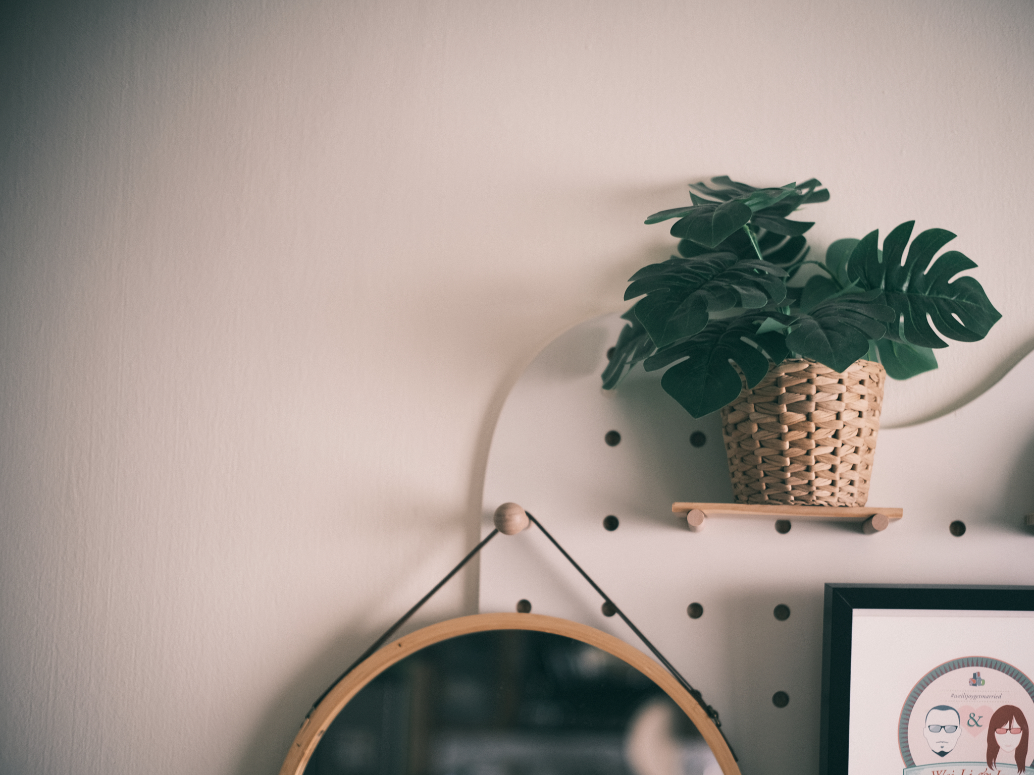 A proud faux plant owner - Wall, minimalist, modern, cozy, natural light, green plant, woven basket, wooden shelf, round