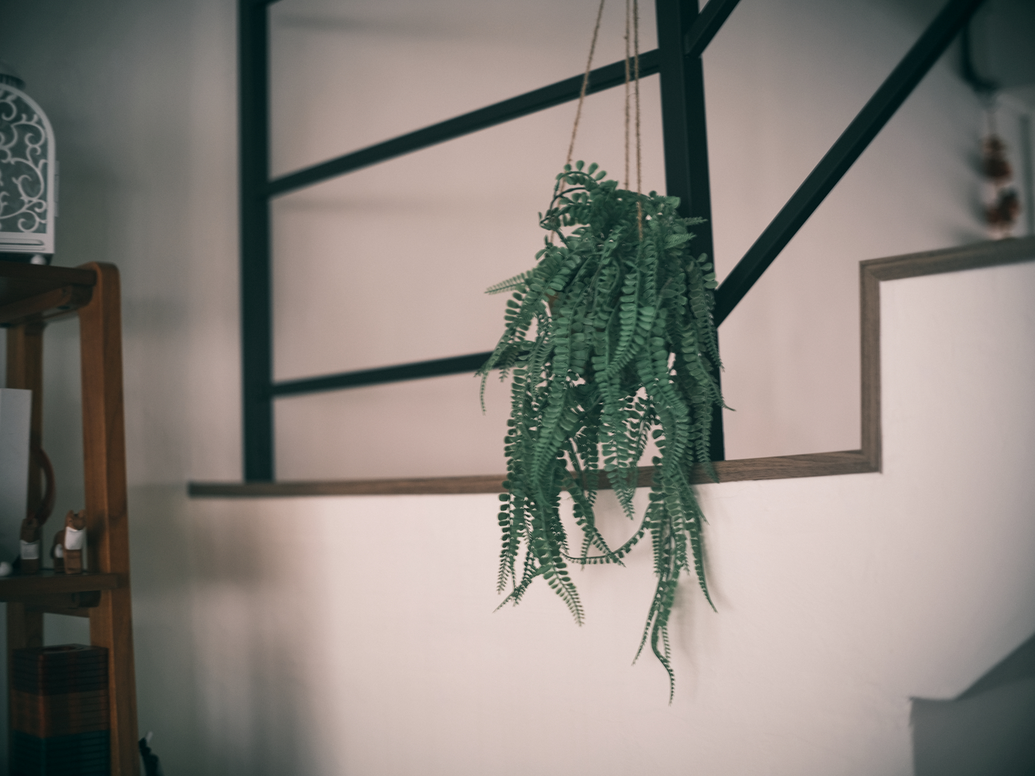 A-proud-faux-plant-owner