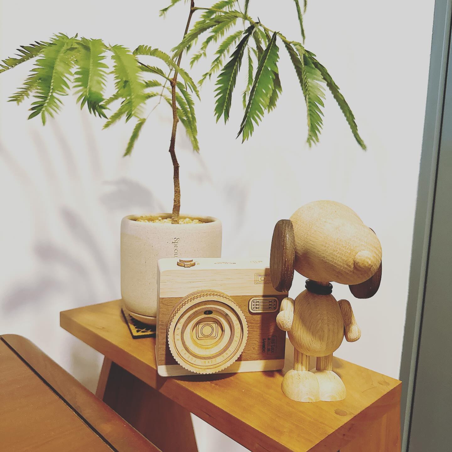 Cosy Living Room: Japandi & Leather Combination  - Wooden camera, potted plant, wooden figure, wooden table, wooden vase