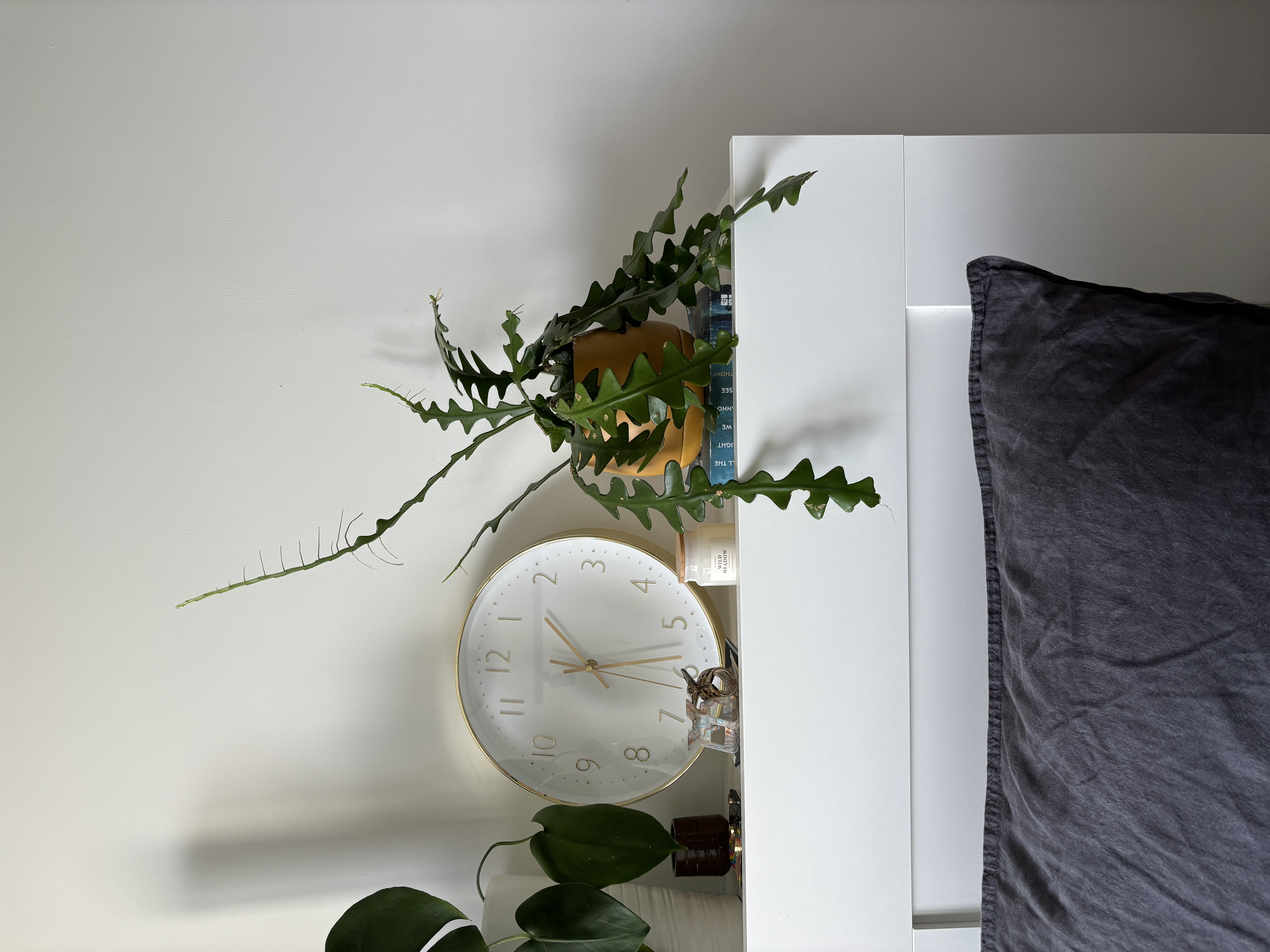 Simple Master Bedroom  - White wall, minimalist decor, green plant, round clock, gold accents, abstract leaf, indoor plants