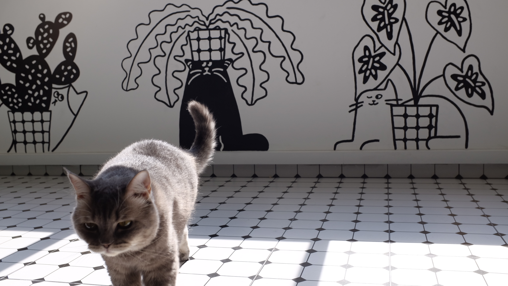 Living Room: Cats' Playground!