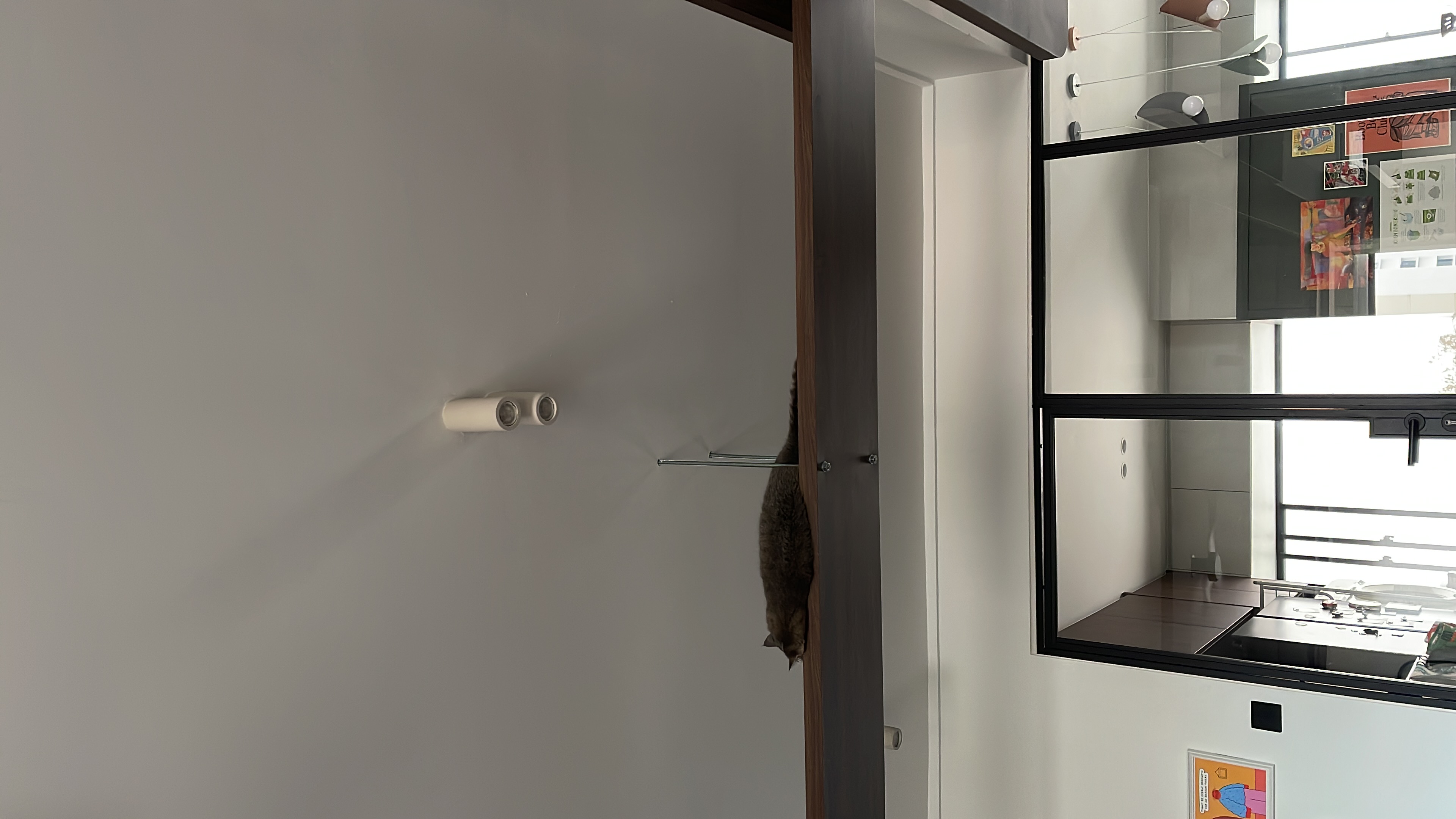 Living Room: Cats' Playground! - Cat climbing wall, modern interior, minimalist design, white walls, natural light, wooden