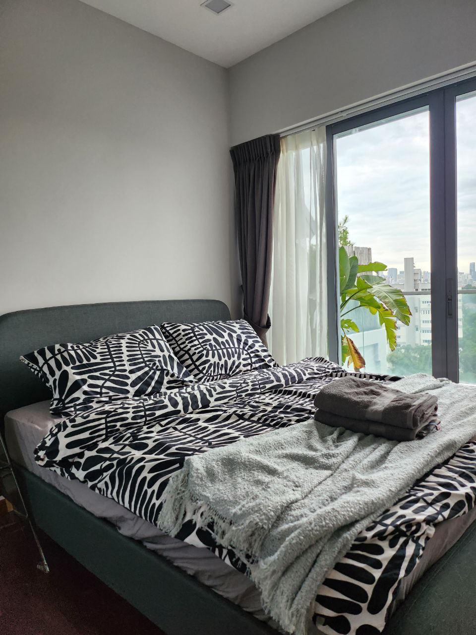 Bedroom: Zen Mode ON - Zebra print bedding, modern bedroom, large window, cityscape view, indoor plants, cozy atmosphere