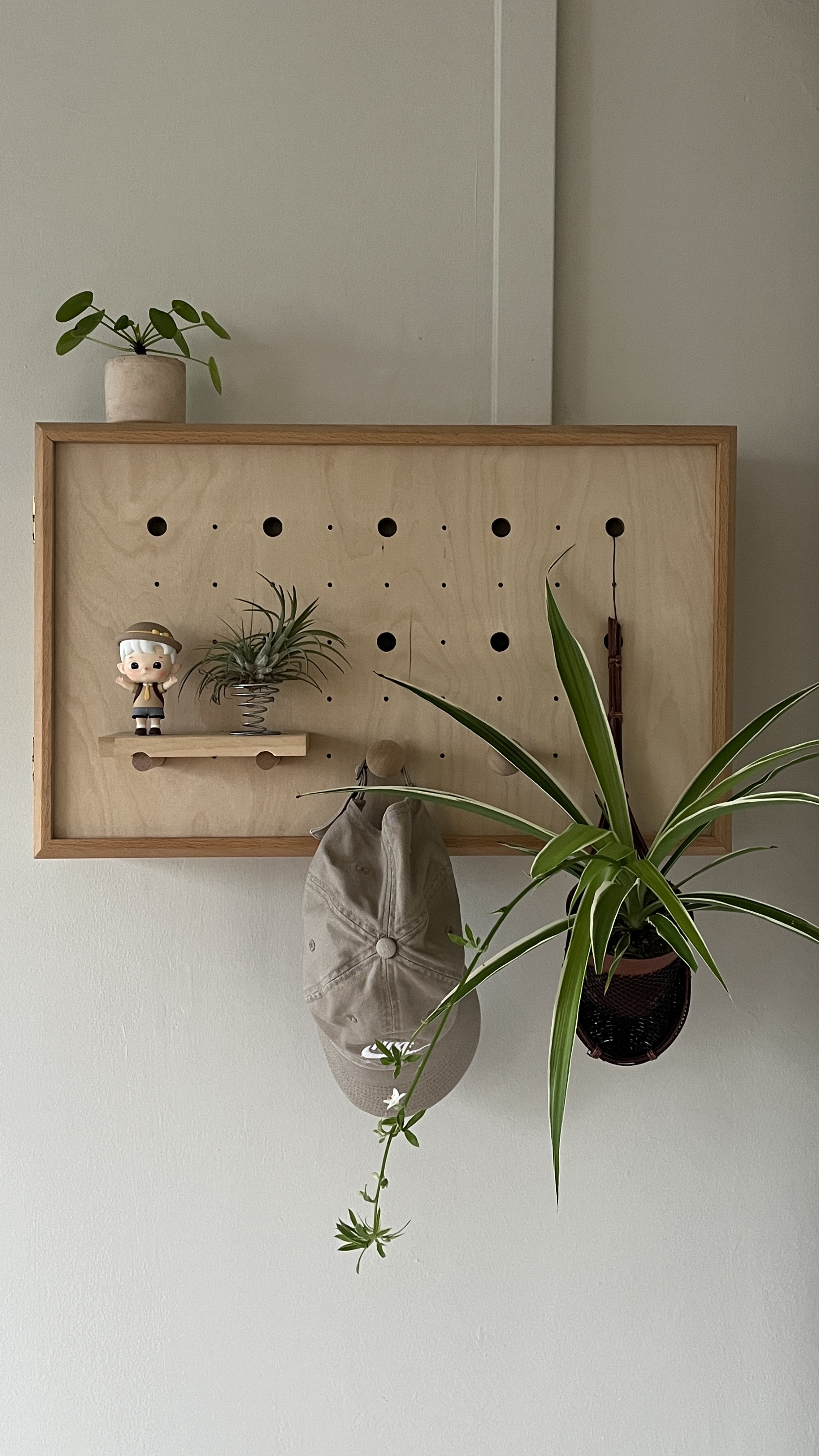 Plants at home - safe for cats - wooden board, hanging plant, small plant, decorative plant, green plant, hanging plant pot