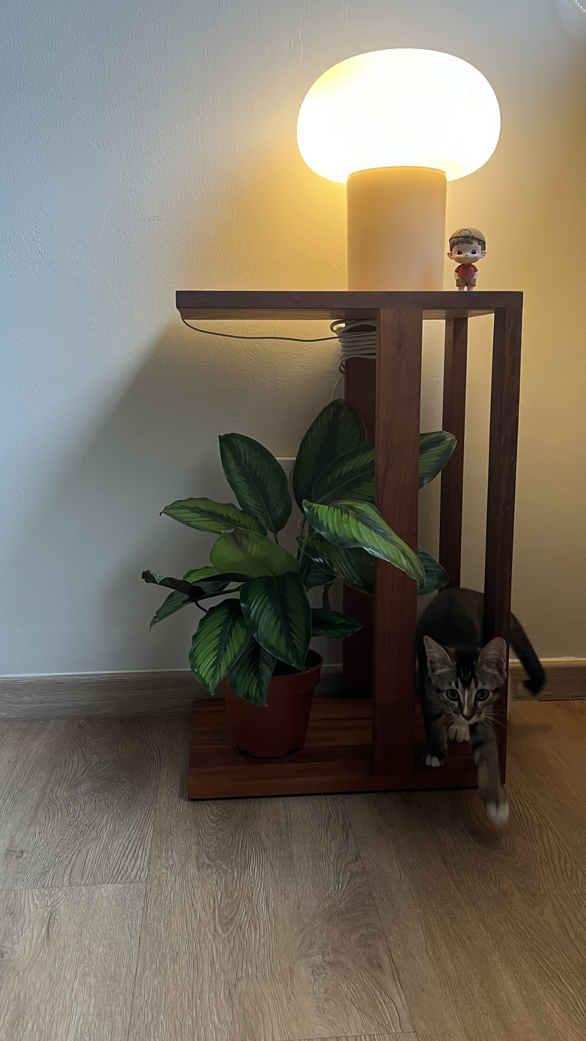 Plants at home - safe for cats - lamp, glowing, wooden table, potted plant, green leaves, indoor setting, cozy atmosphere