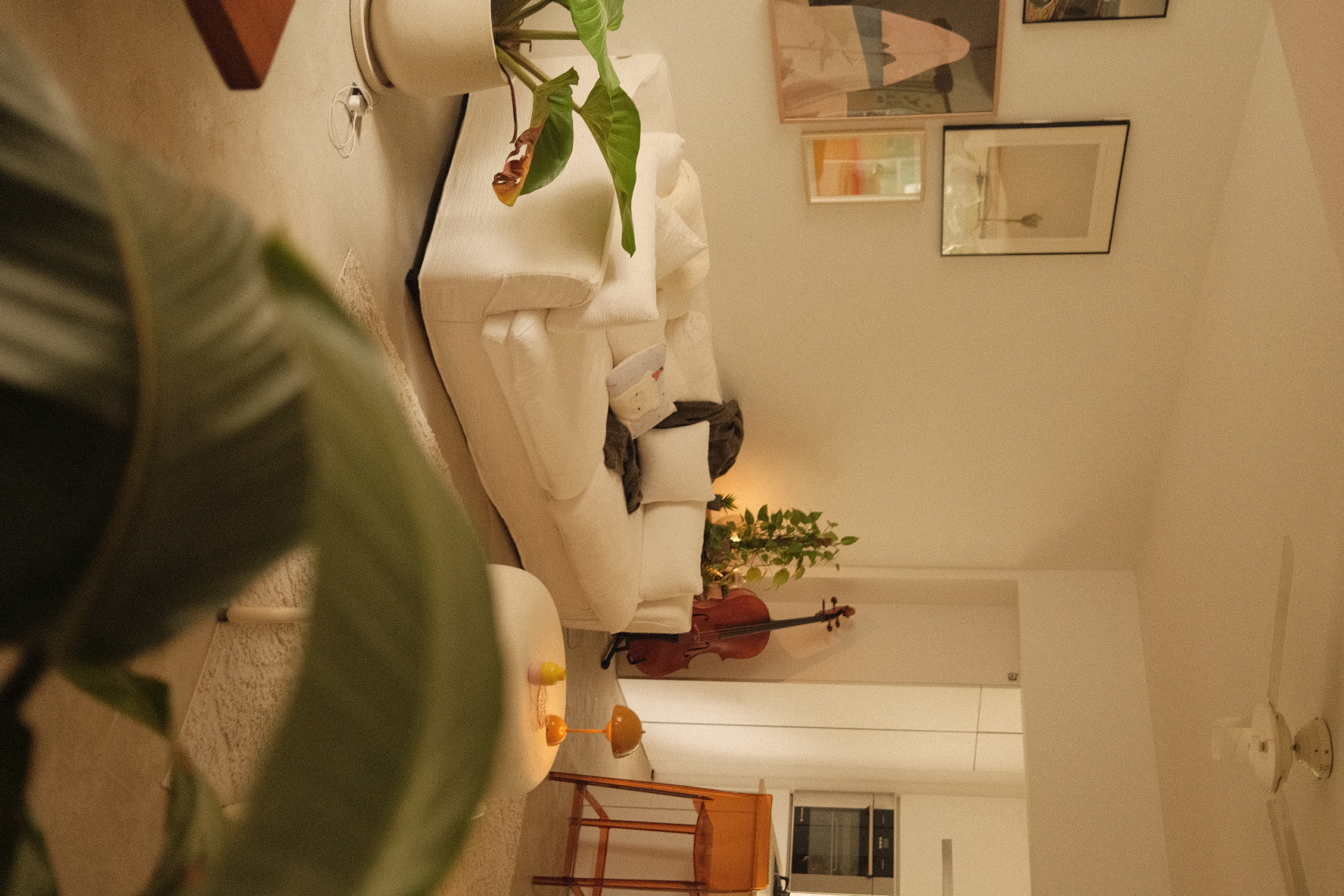 Open living room concept for a heritage style artsy home - modern living room, cozy atmosphere, white sofa, green plant