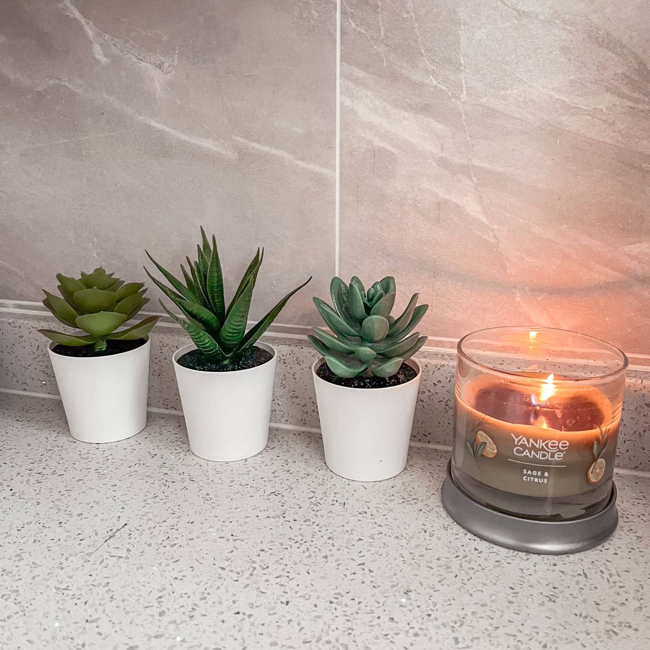 Real plants? Faux plants? Preserved? Why not all? - succulent green succulents, indoor plants, potted plants, indoor decor