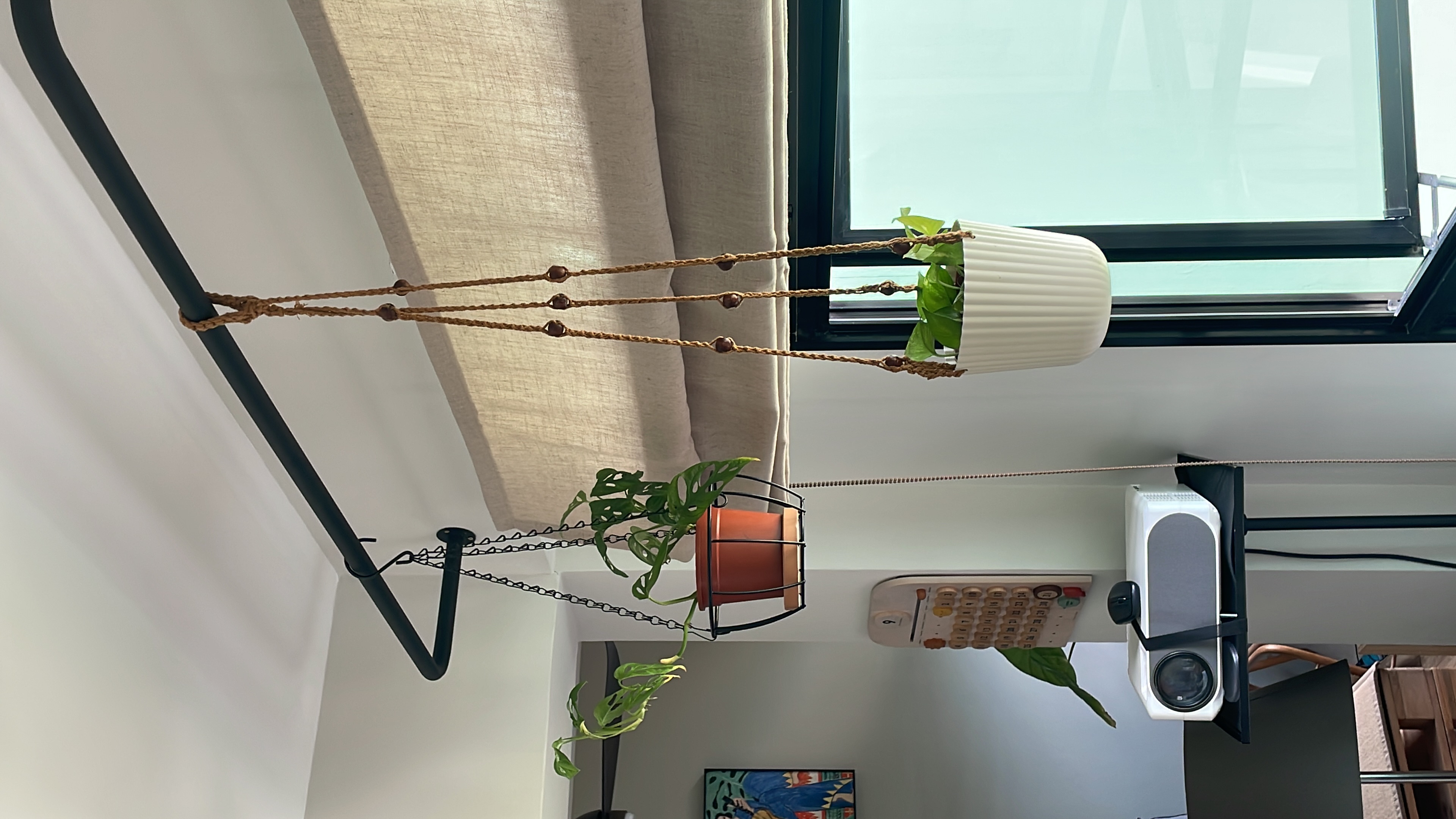 Decorating-with-greens-as-first-time-plant-parents-🌿