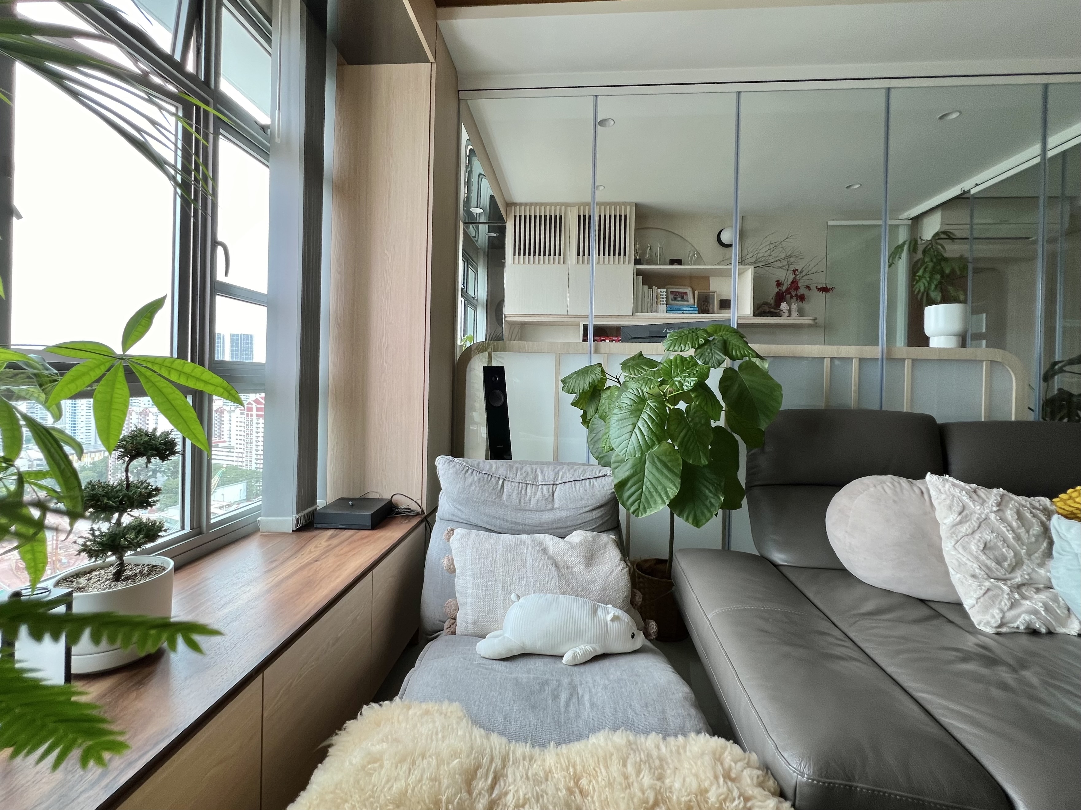 Living room as a room for plants too - Large windows, modern living room, cozy seating, gray sofa, plush rug, indoor plants