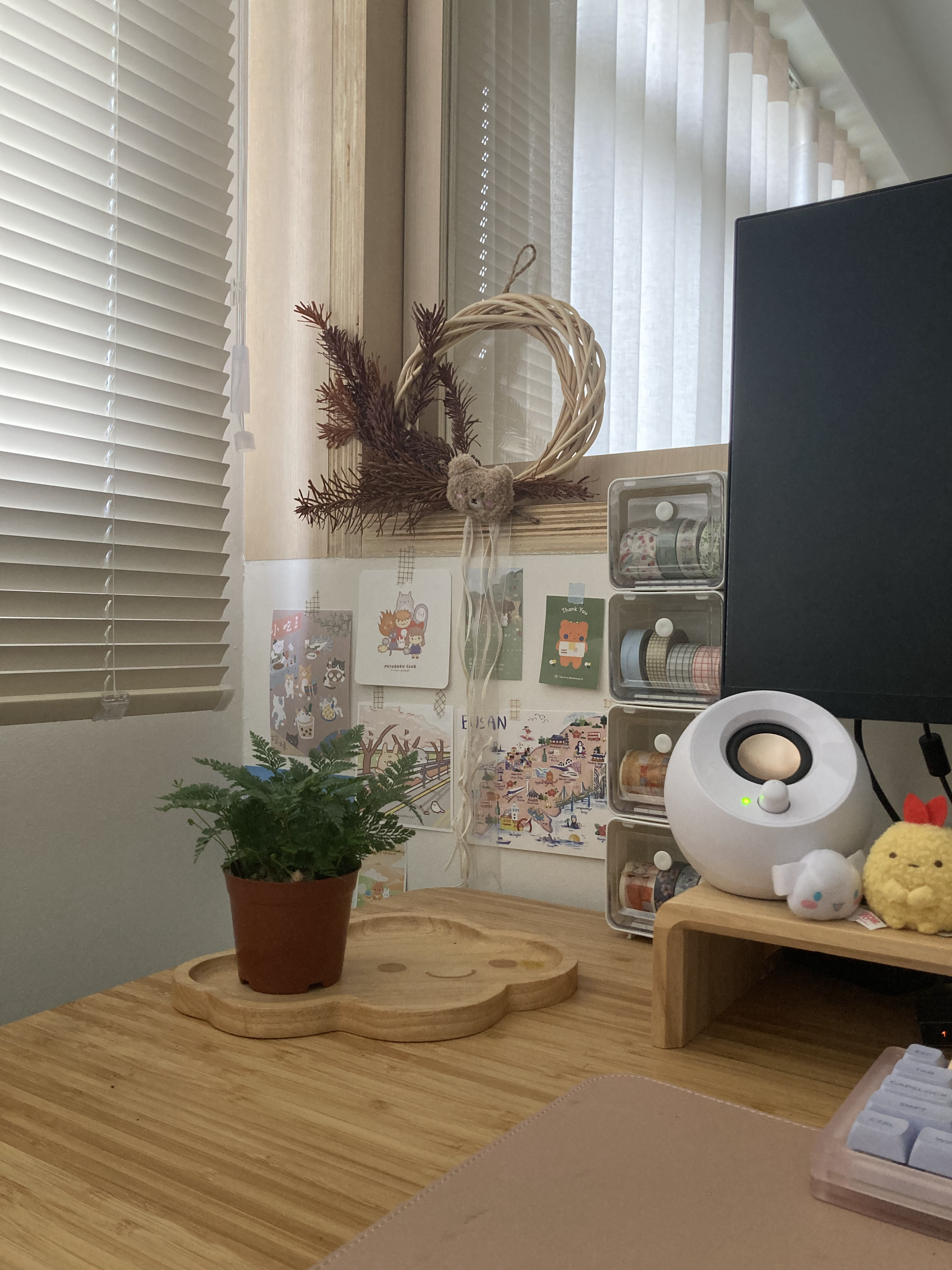 Live plants and dried flowers to beautify your home - Wooden desk, potted plant, white circular device, yellow plush toy