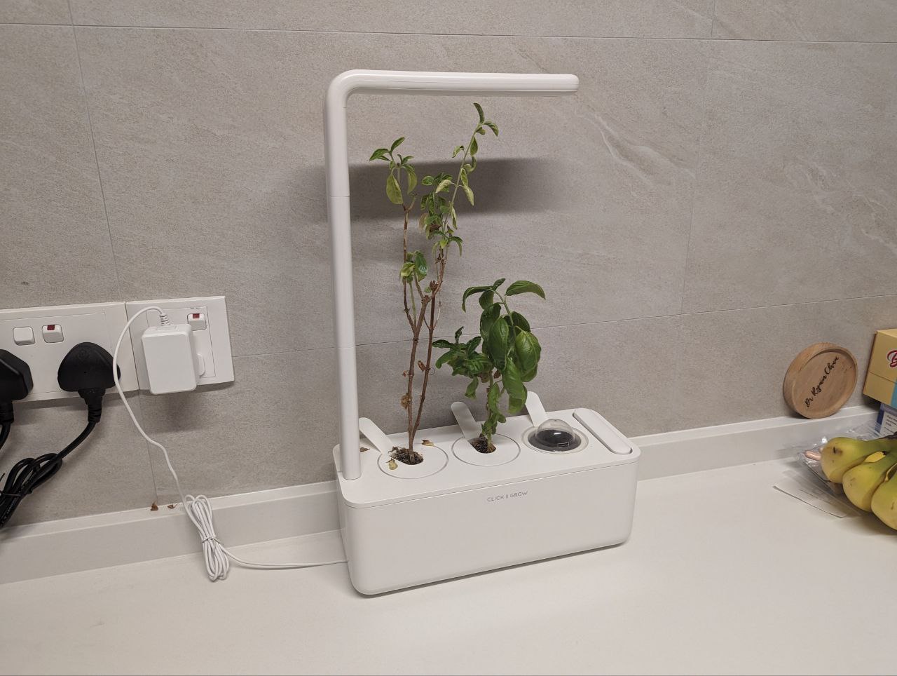 Our minimalistic open concept kitchen! - smart home device, vertical grower, indoor plant care, eco-friendly technology