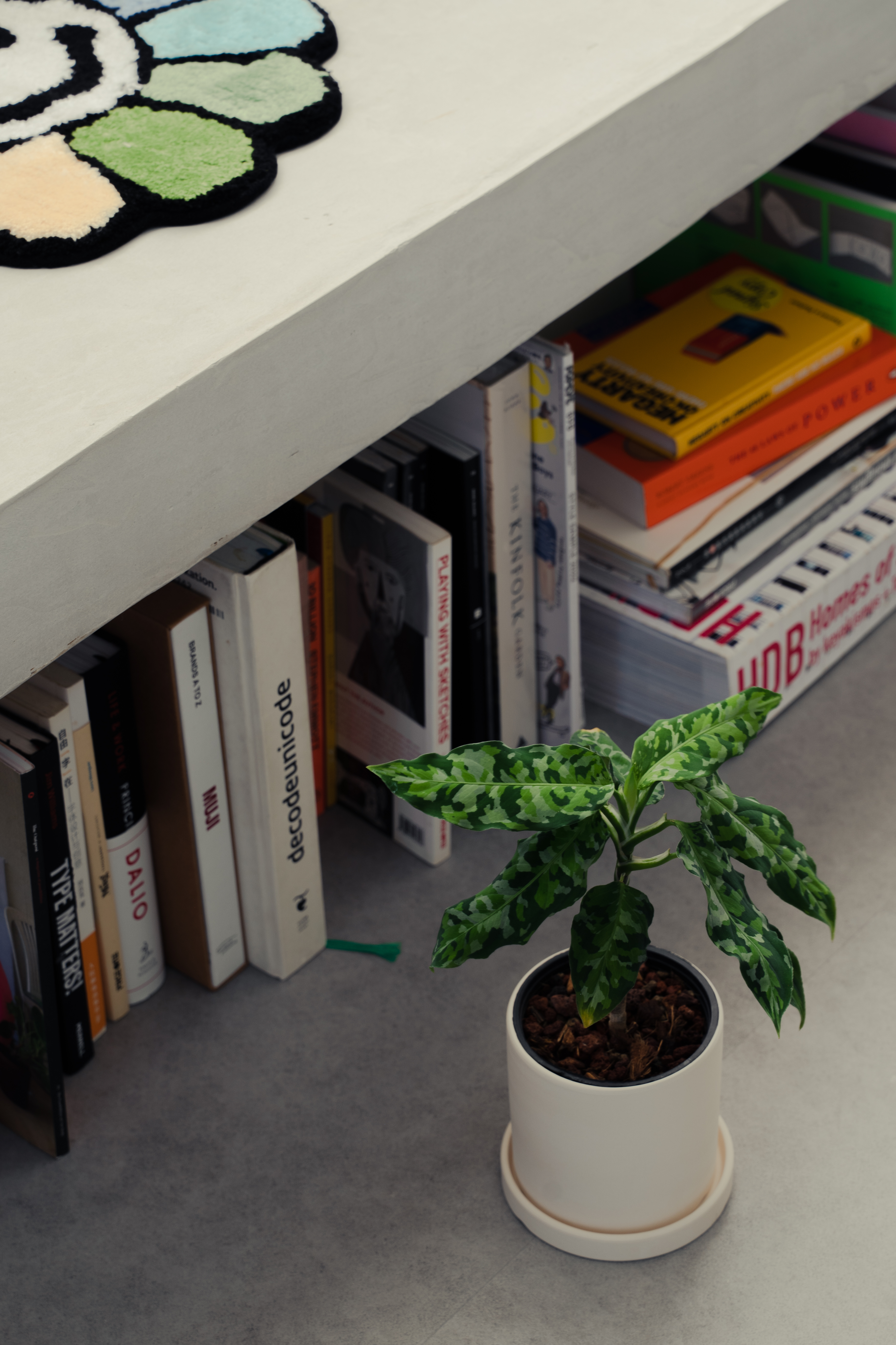 Our Living Area: A space for books, games and quirky clocks - Underneath the shelf, a small potted plant with lush green