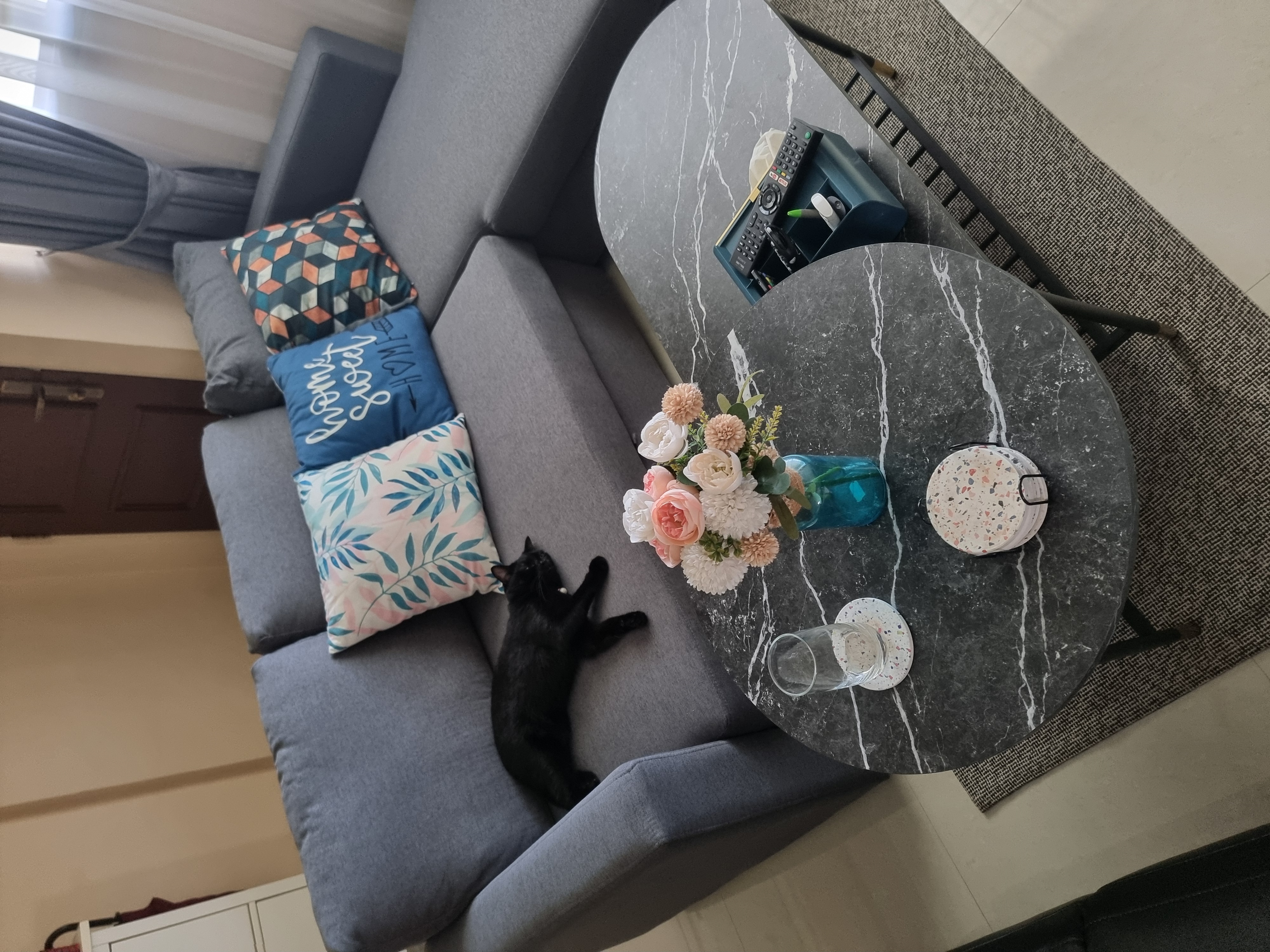 If my cat loves it, I love it too.  - gray sofa, black cat, cozy living room, modern decor, textured rug, decorative pillows