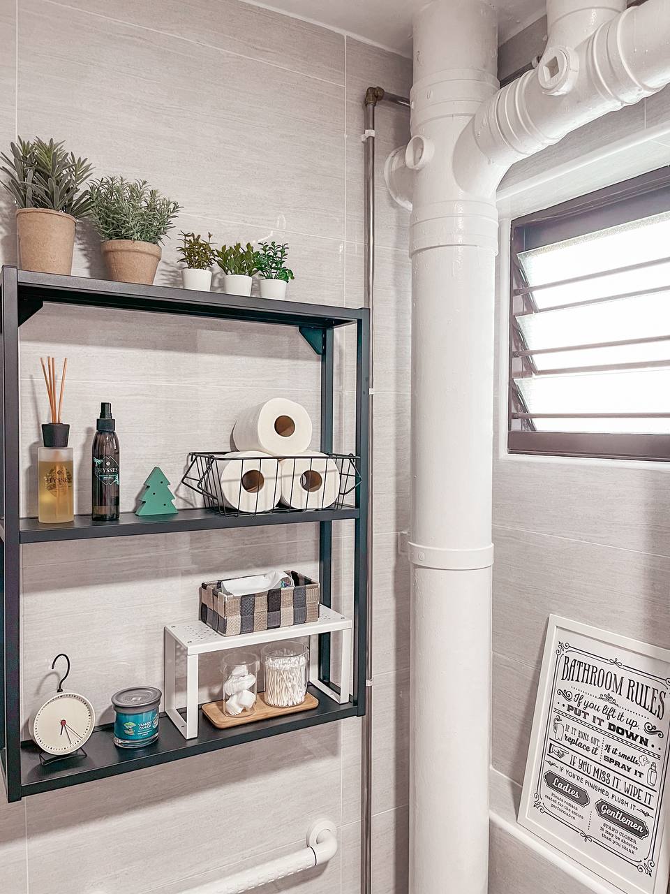 Manoeuvre our way with HIP toilets  - Shelf with plants, bathroom shelf, decorative items, toilet paper, toilet paper holder