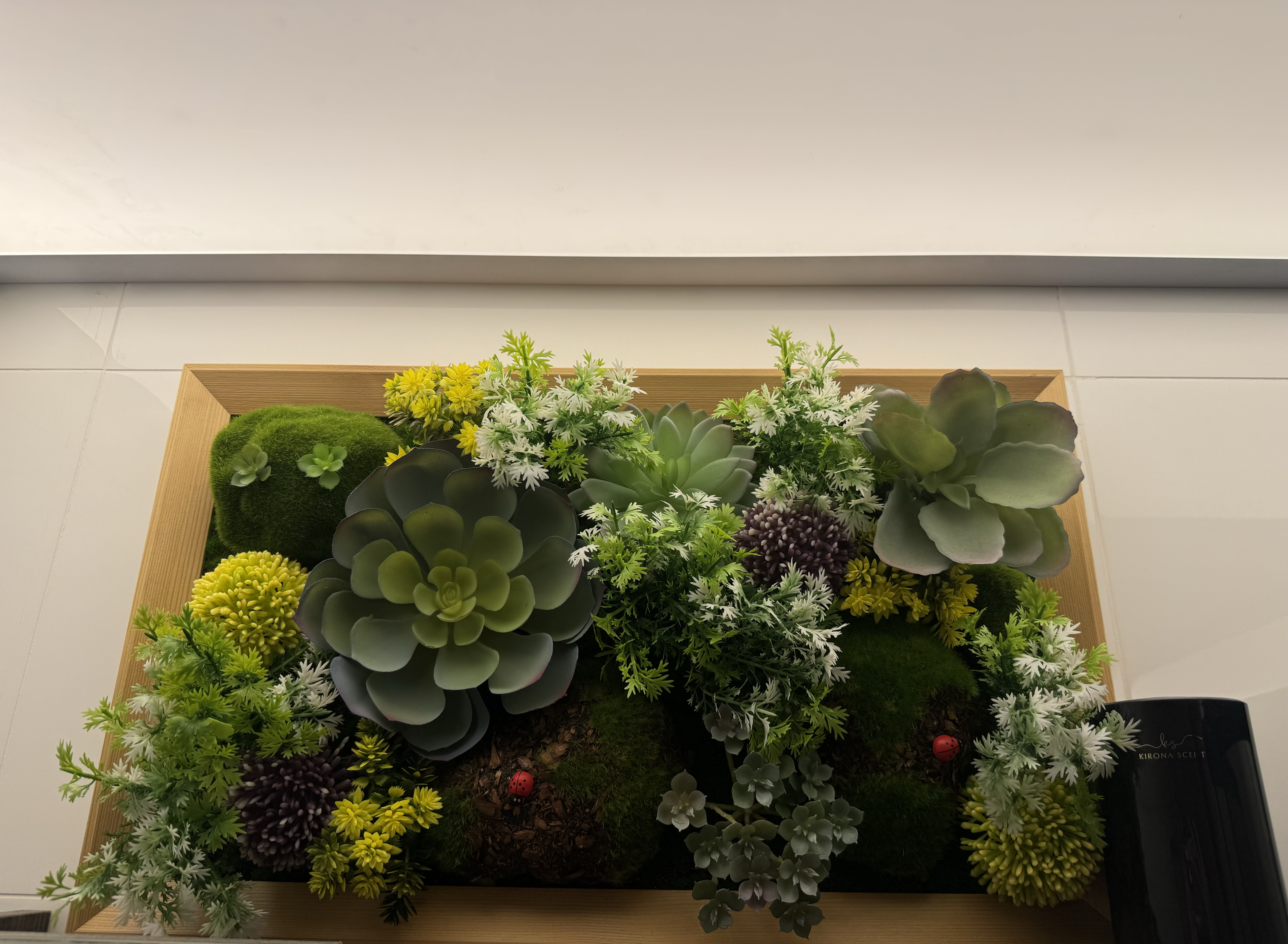 Washroom: Black and gold theme with plants for a relaxing ambiance  - succulent plants, green succulents, yellow flowers