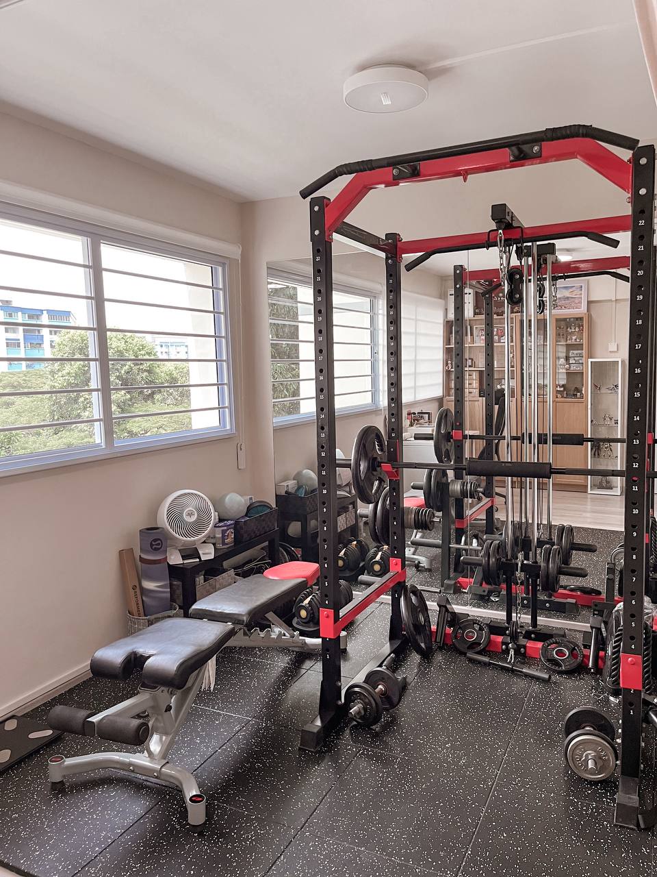 The half-half room - Gym equipment, weightlifting station, home gym, fitness room, black and red rack, dumbbell rack
